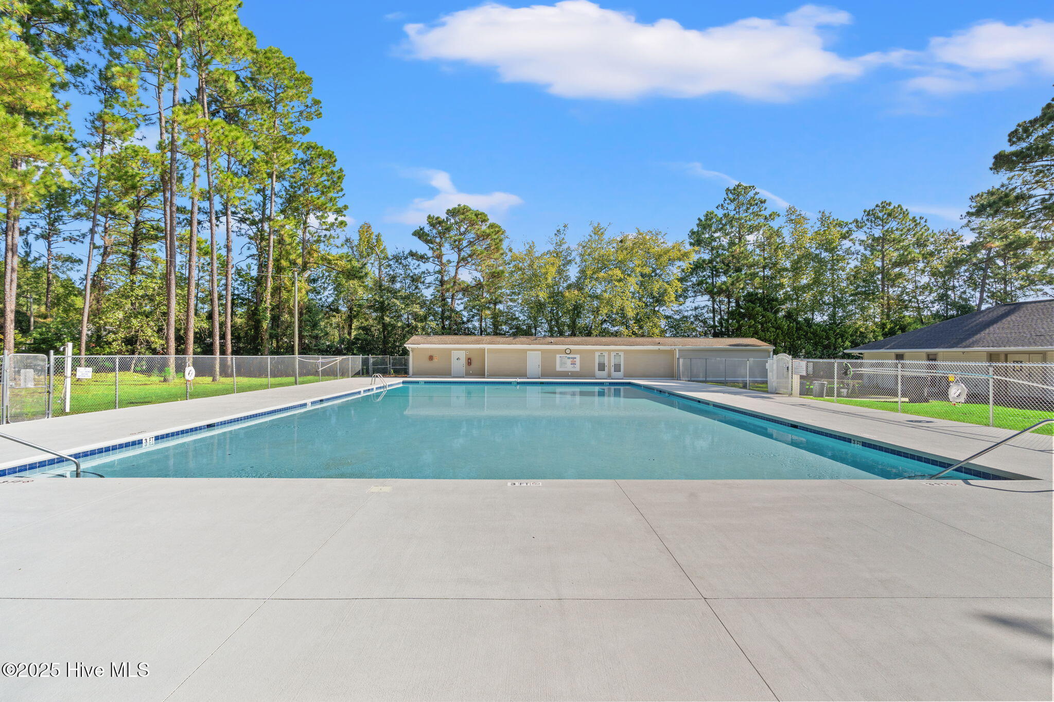 100535002 | Photo 37