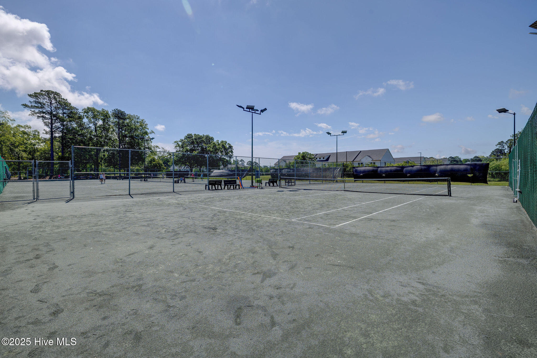 100538895 | Photo 55