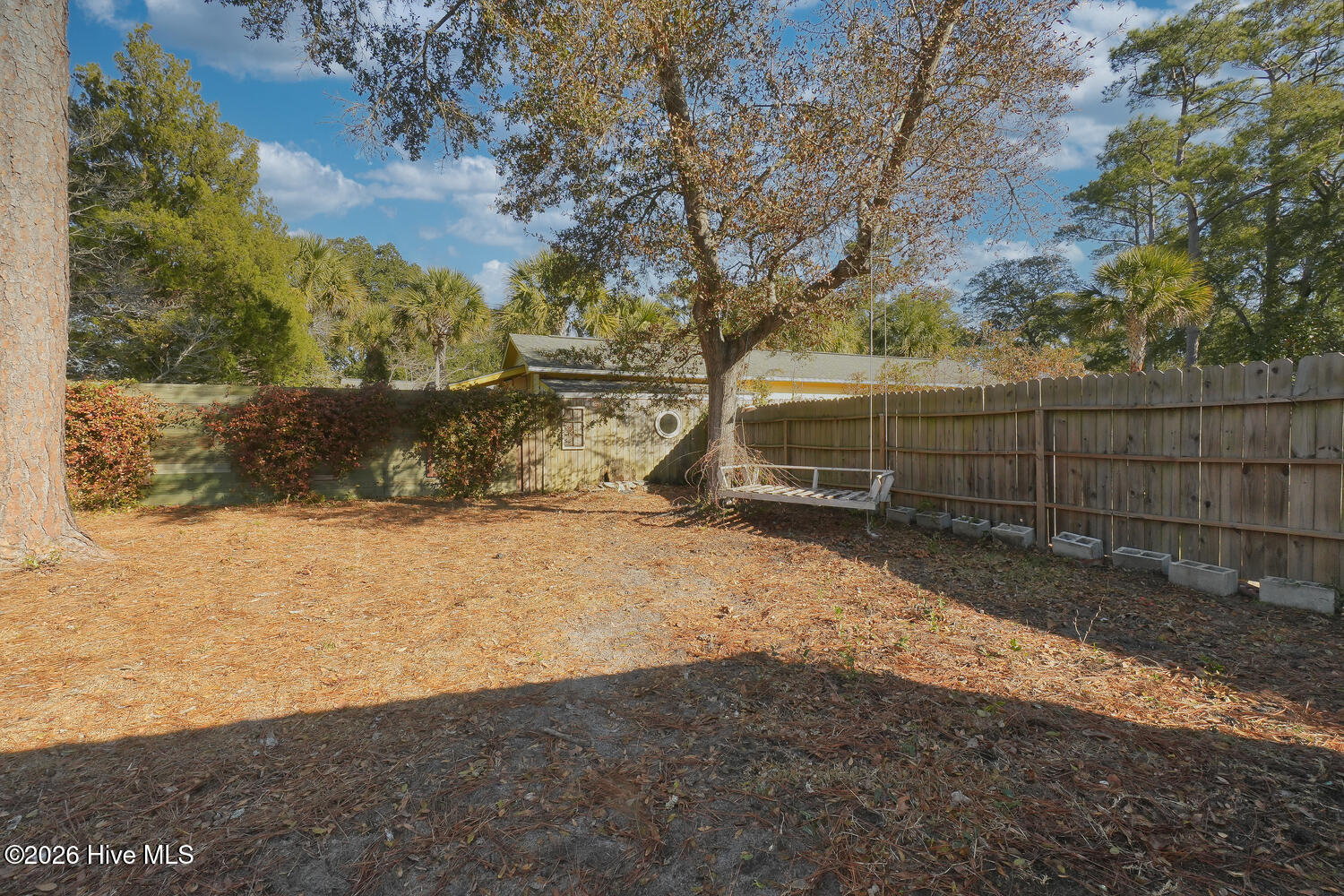 100546662 | Photo 18