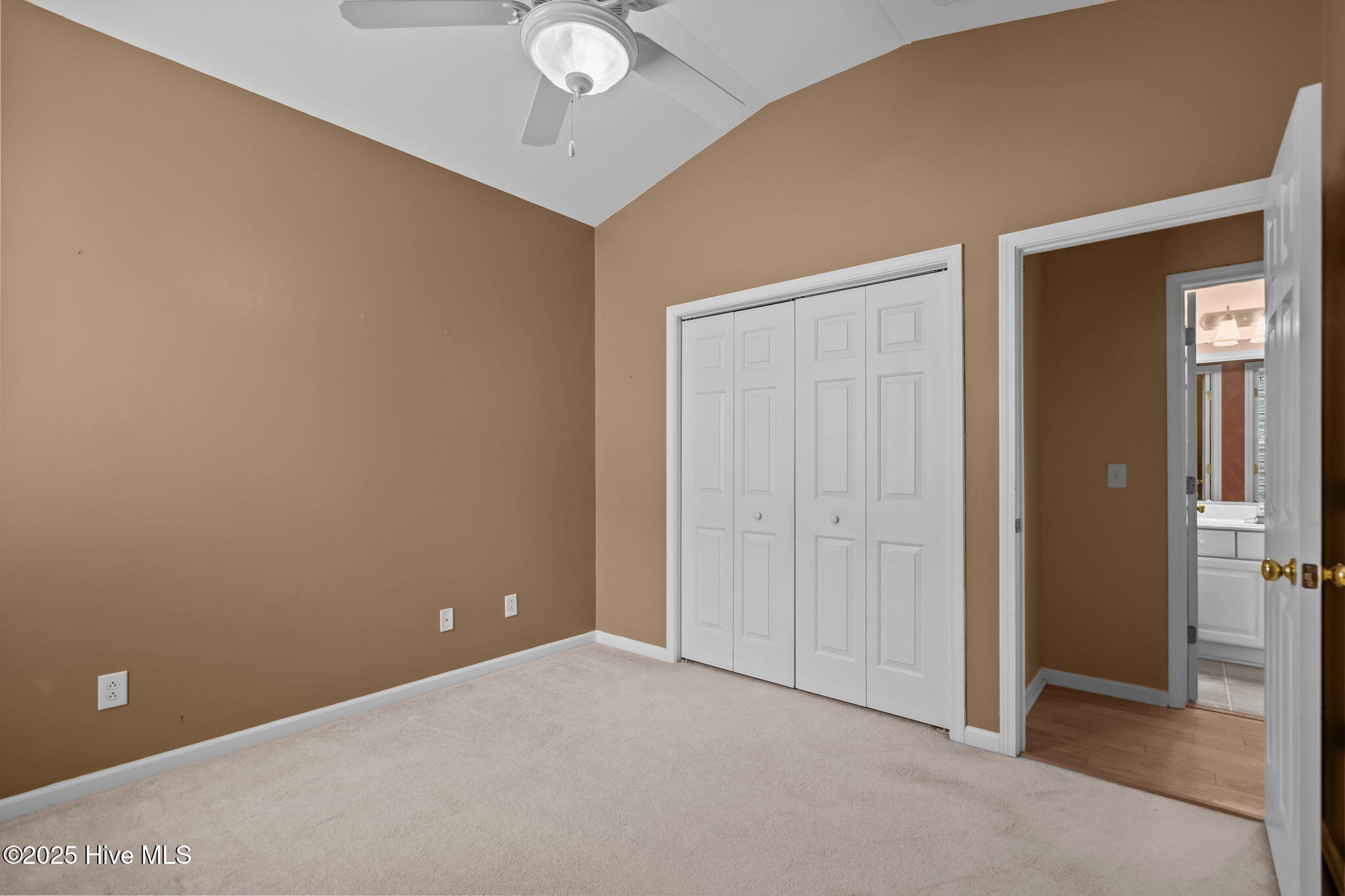 100538741 | Photo 37