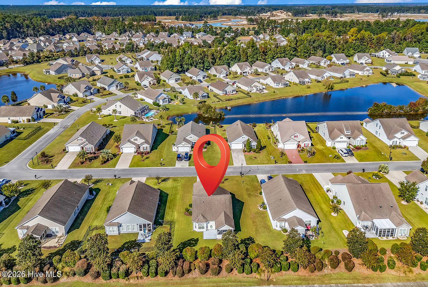 100554888 | Photo 24