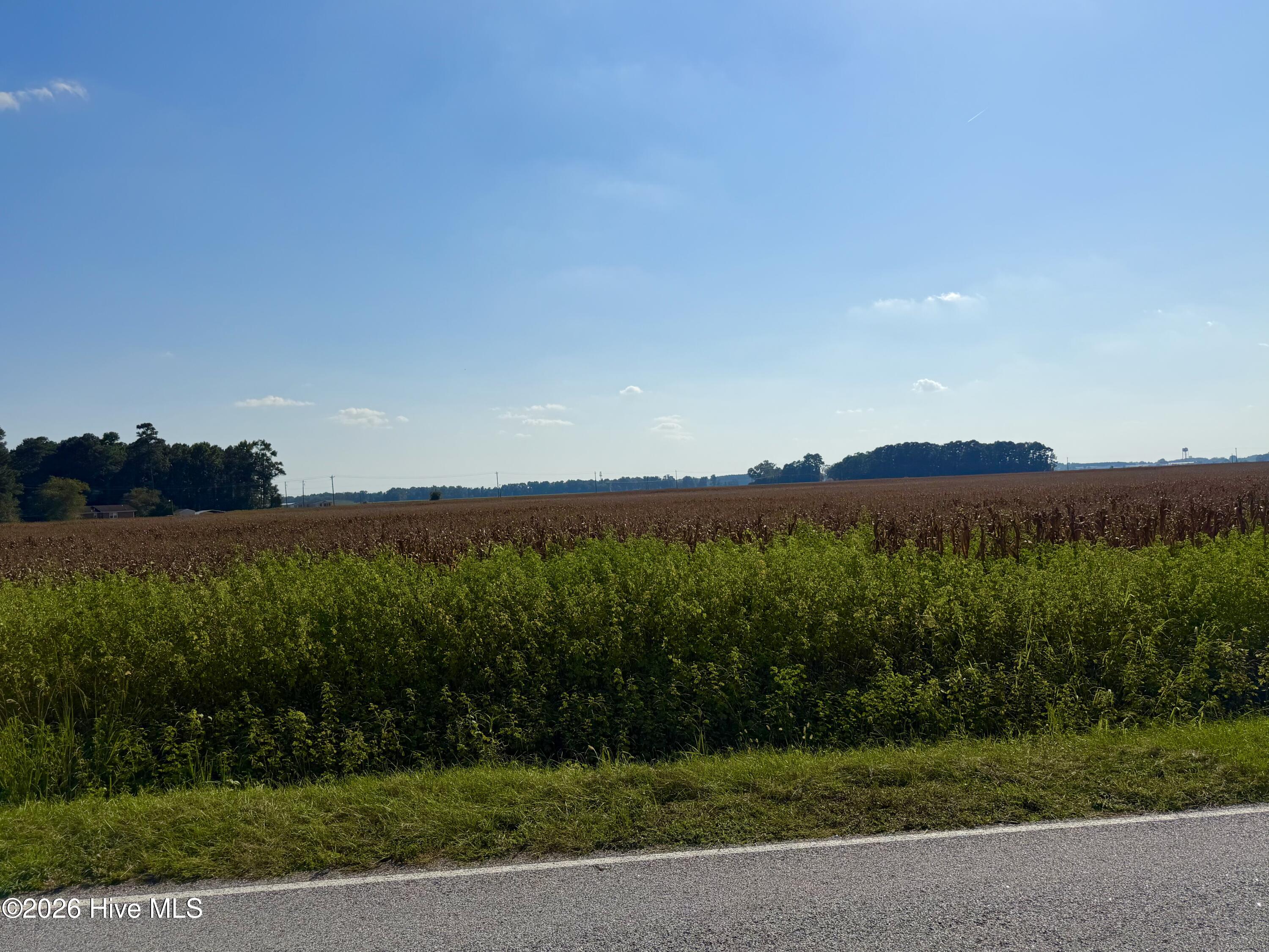 100601705 | Photo 3