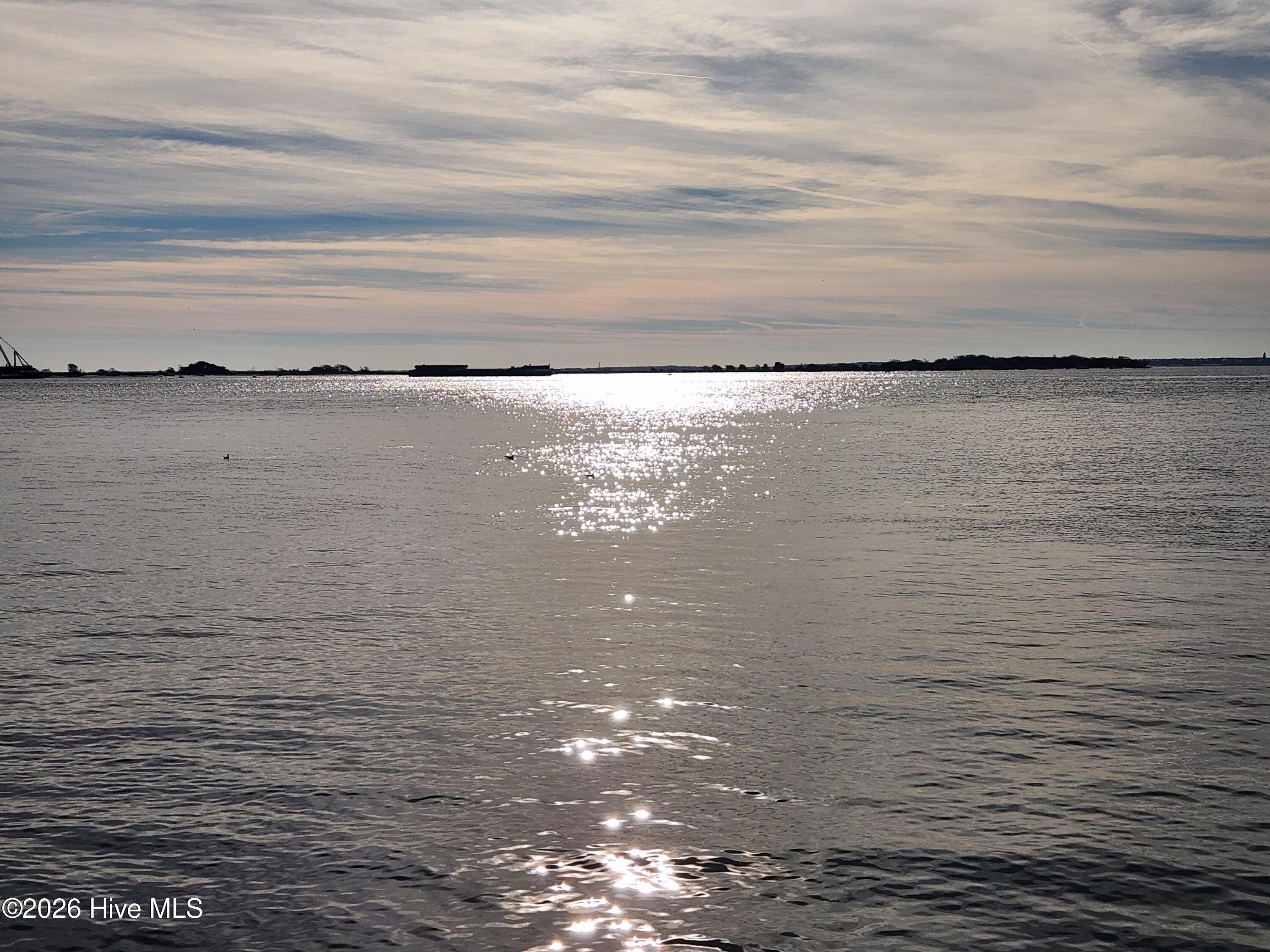 100550453 | Photo 50