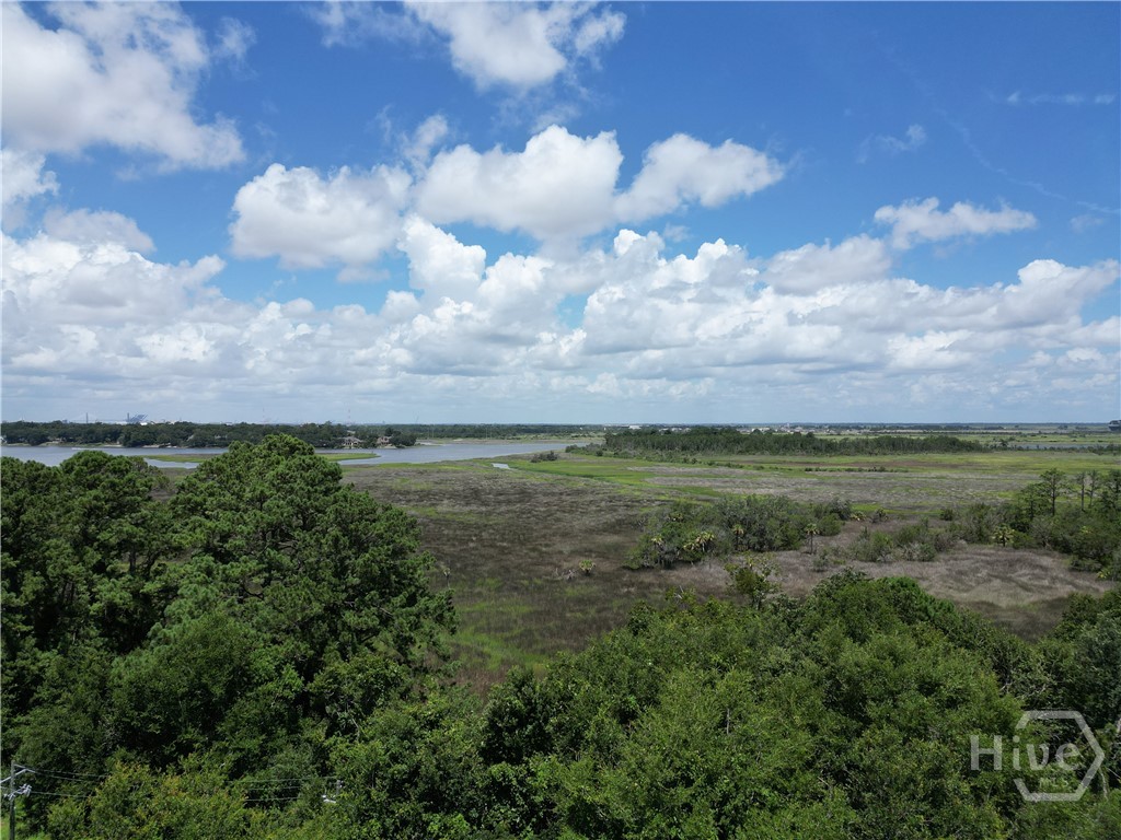 0 Riverview Drive, Savannah, GA, 31410