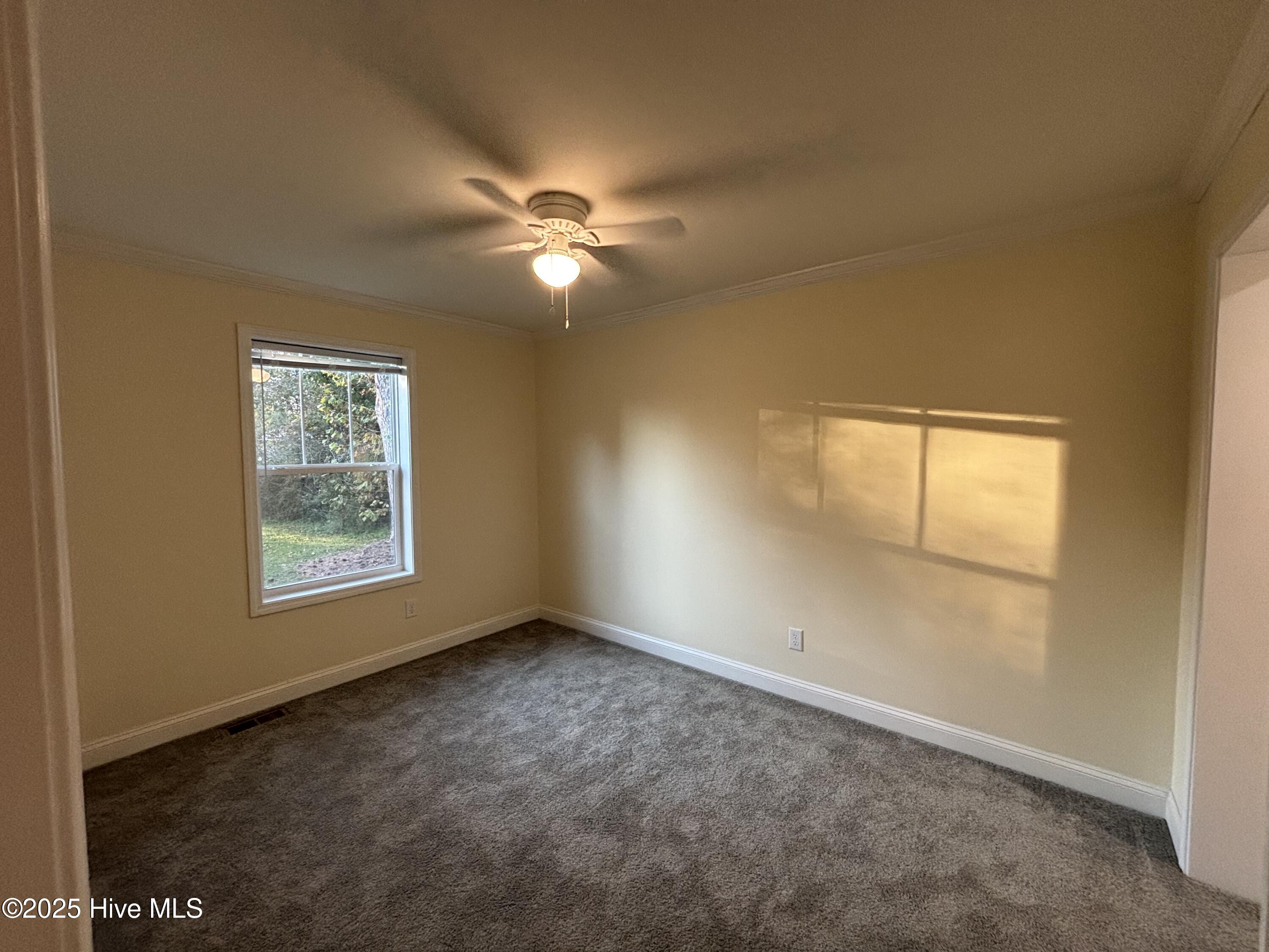 100540398 | Photo 31