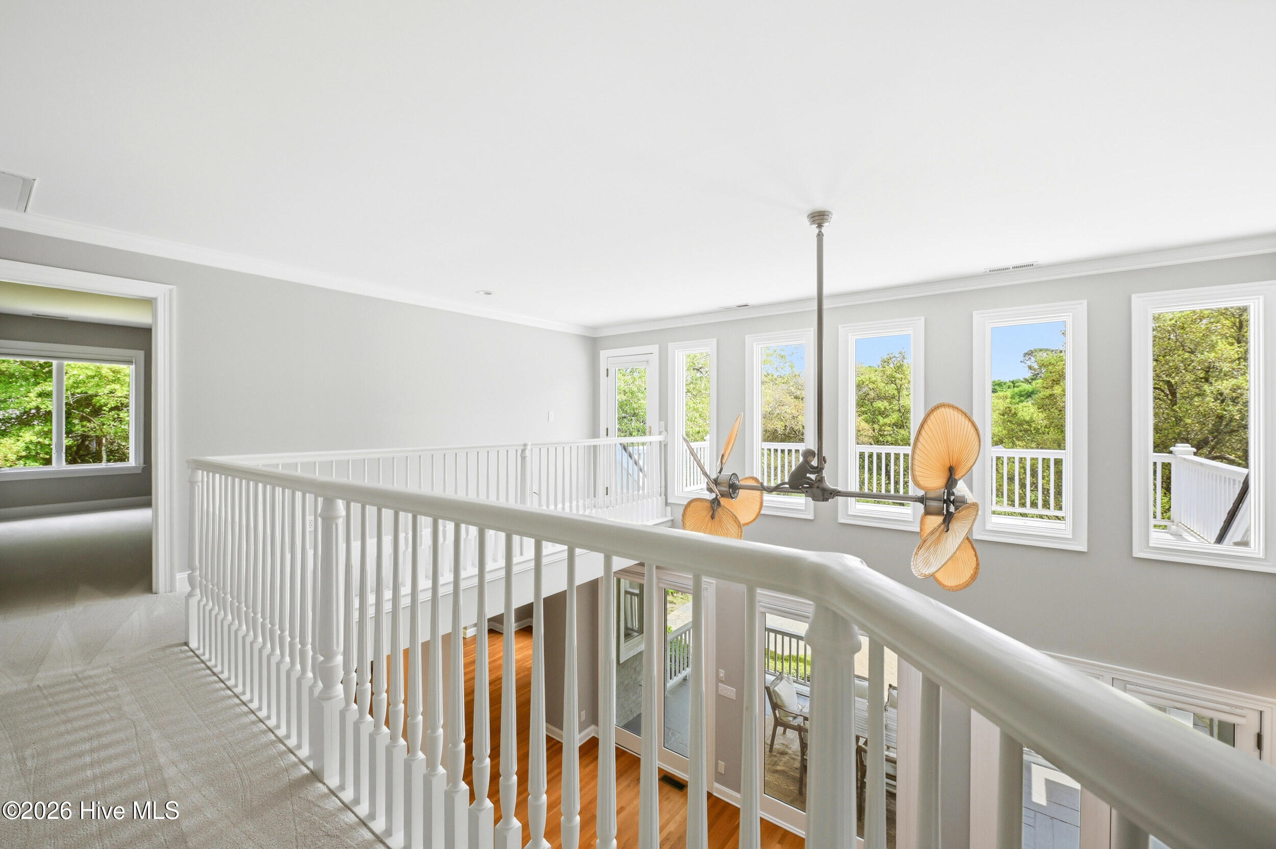 100566149 | Photo 38