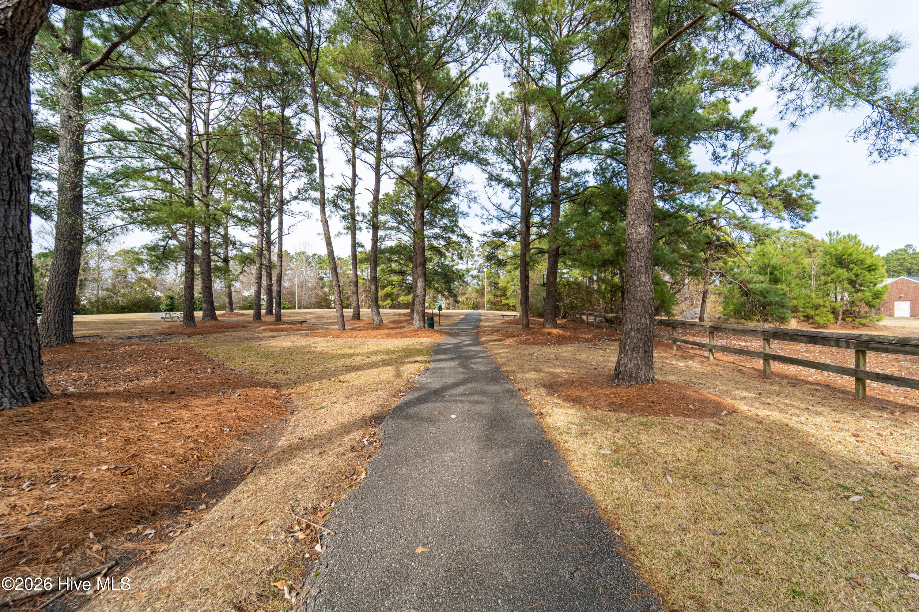 100555847 | Photo 31