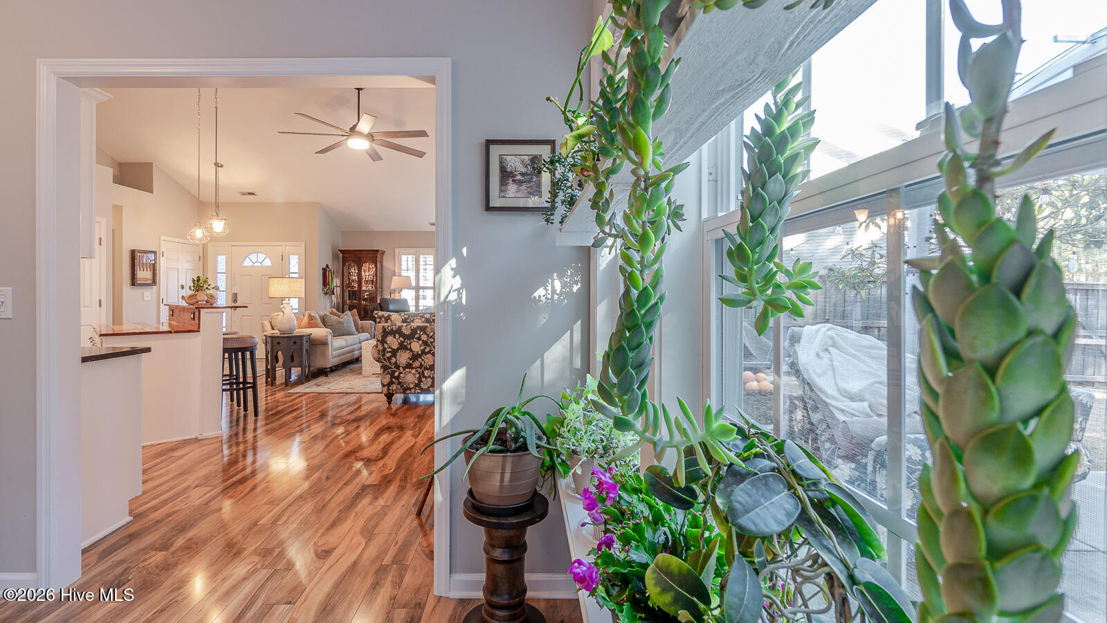 100558017 | Photo 22