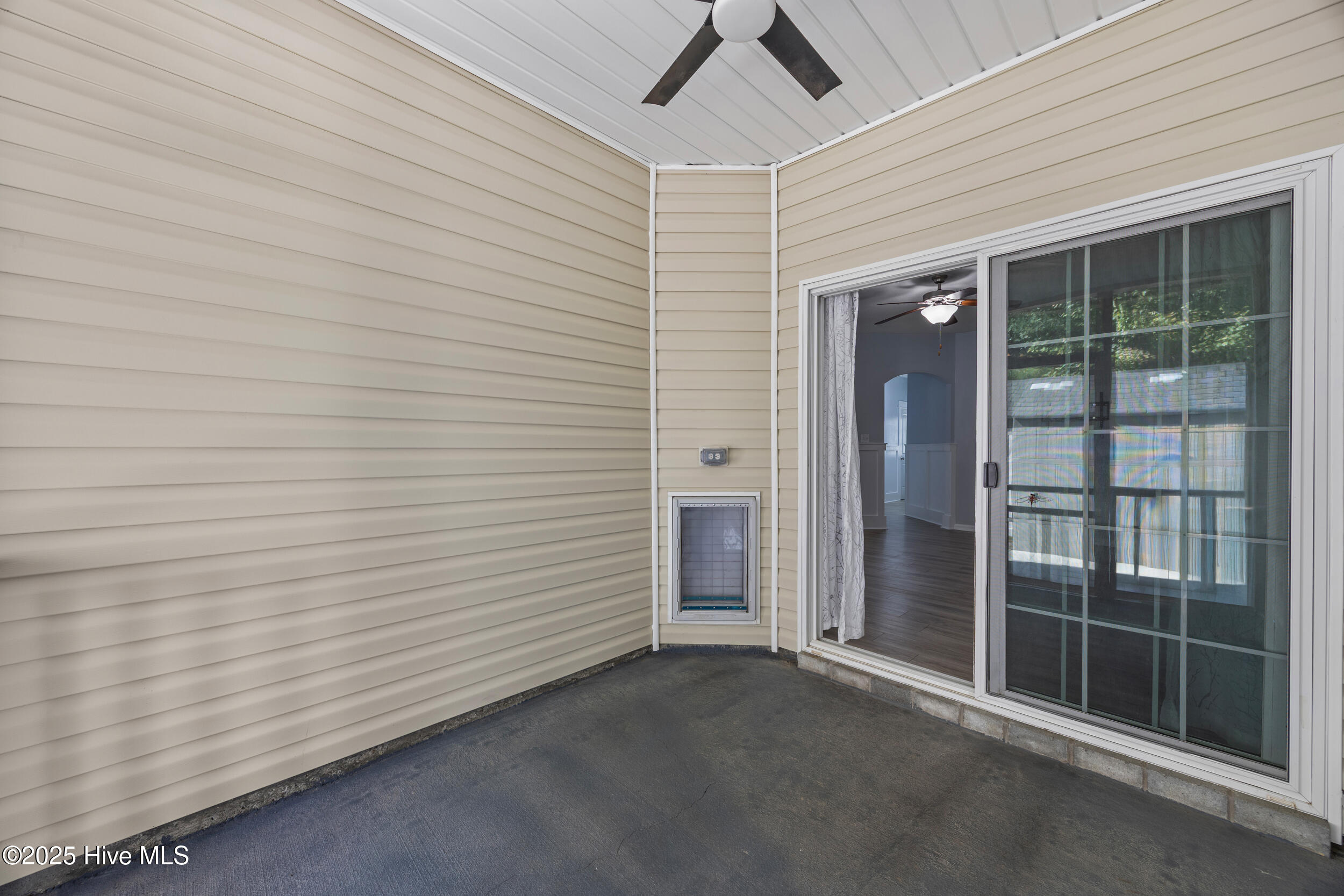 100538119 | Photo 16