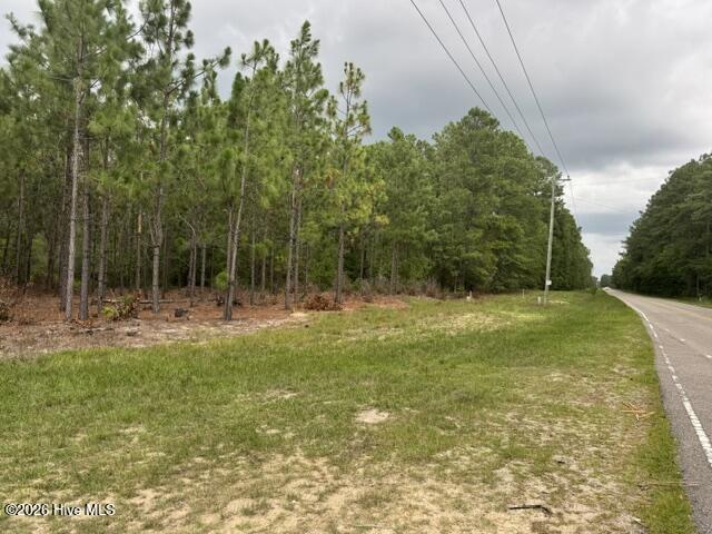 7th image of 0 Nc Hwy 210 Rd, Currie, NC 28435 | MLS# 100591122
