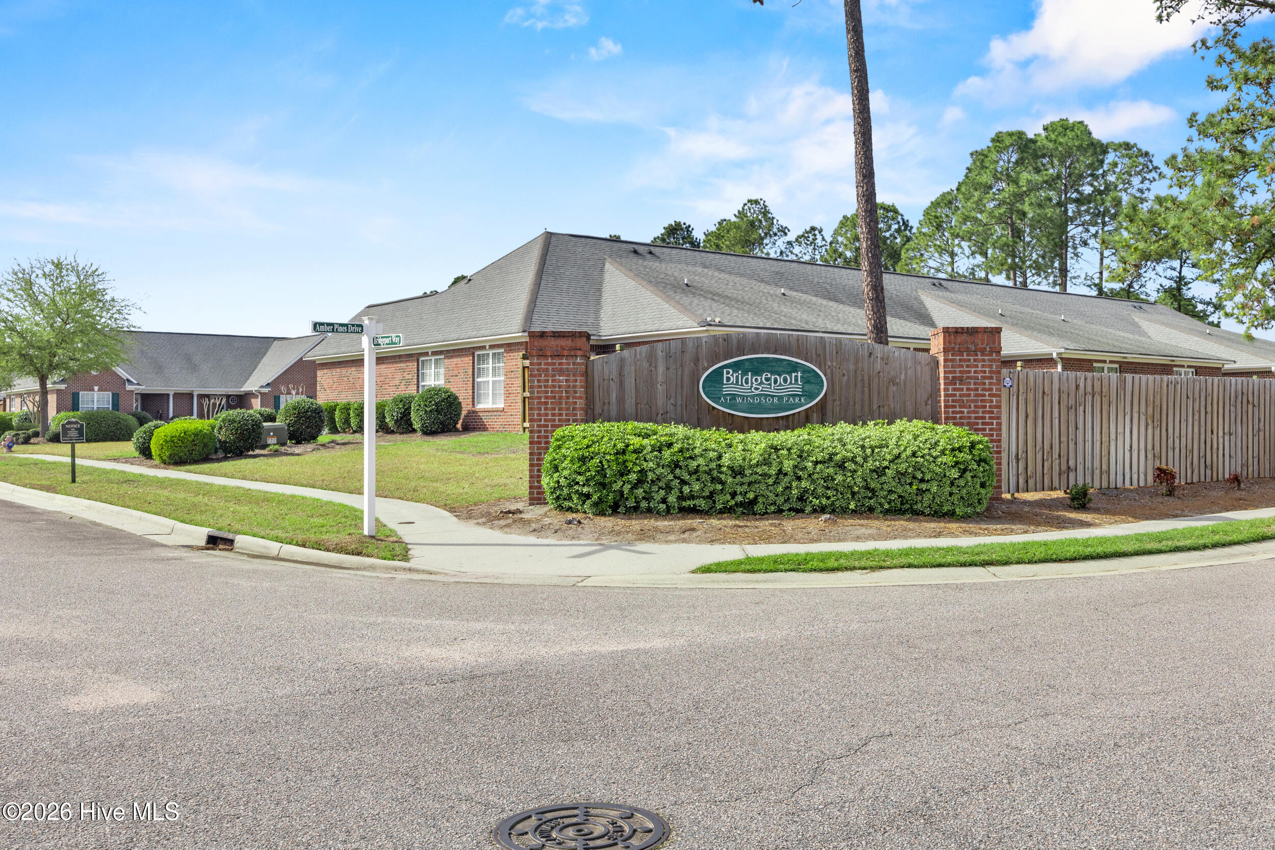 100555457 | Photo 29