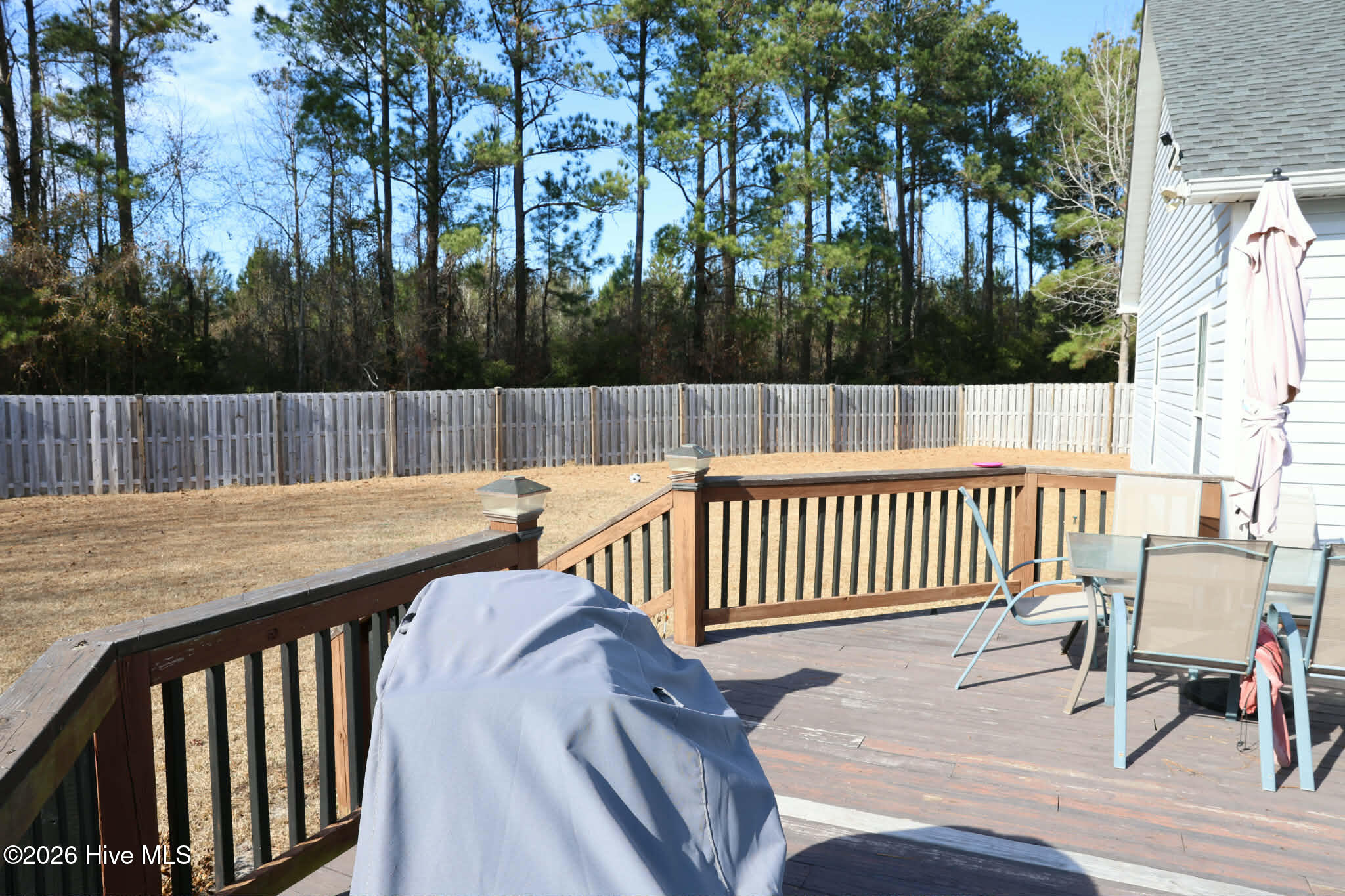 100548456 | Photo 13