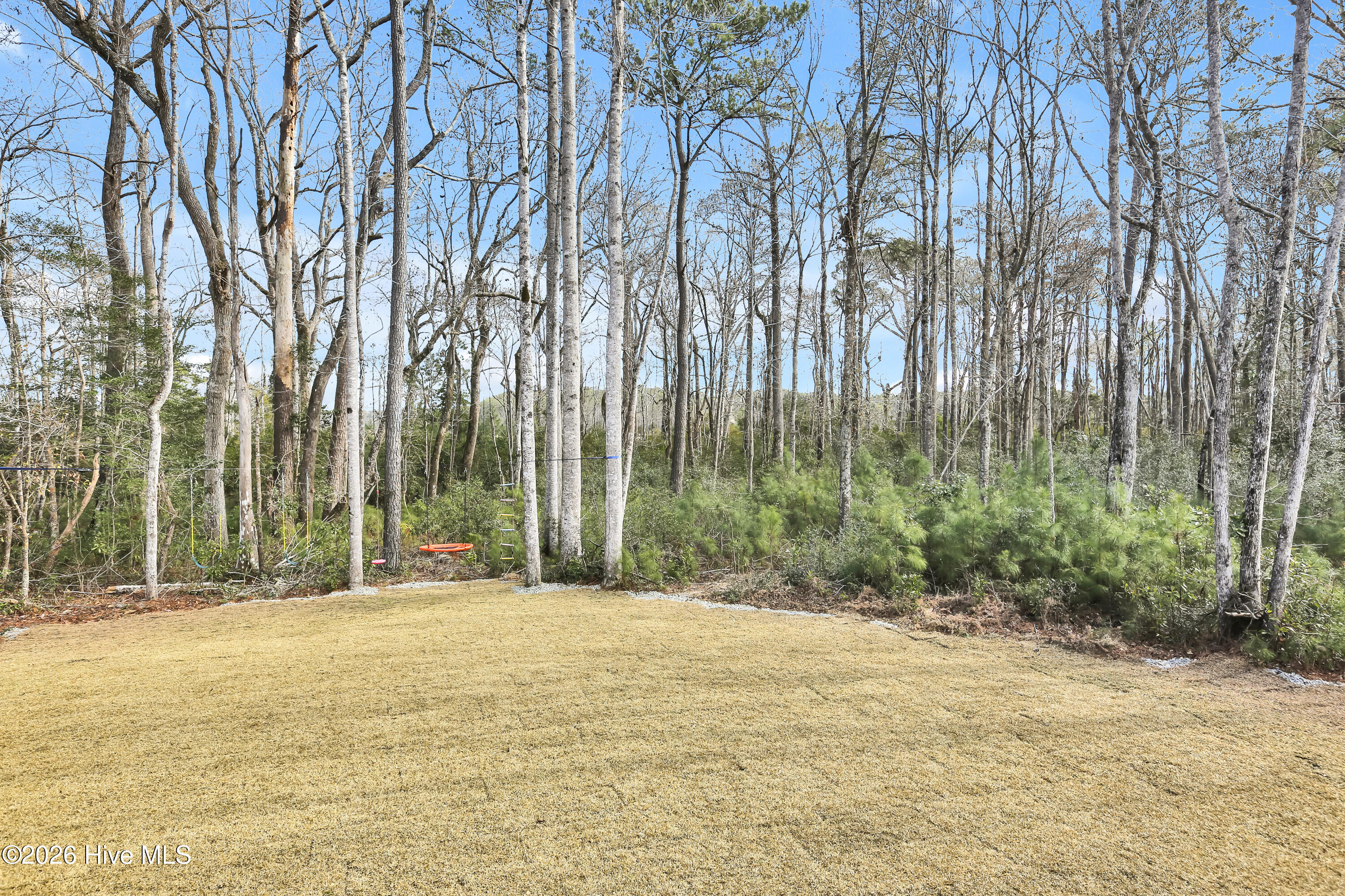 100552855 | Photo 29