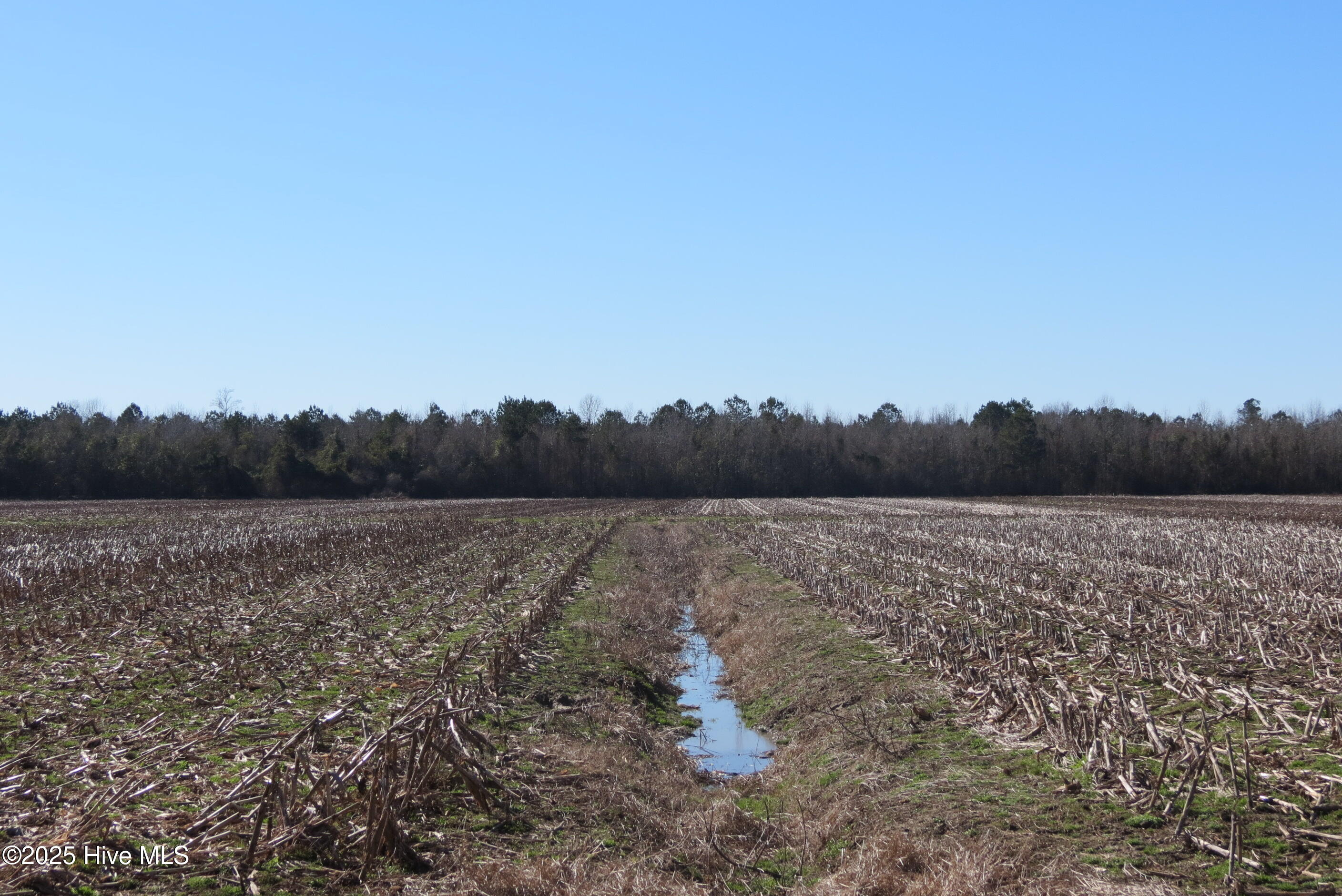 0 Neals Creek Road,Bayboro