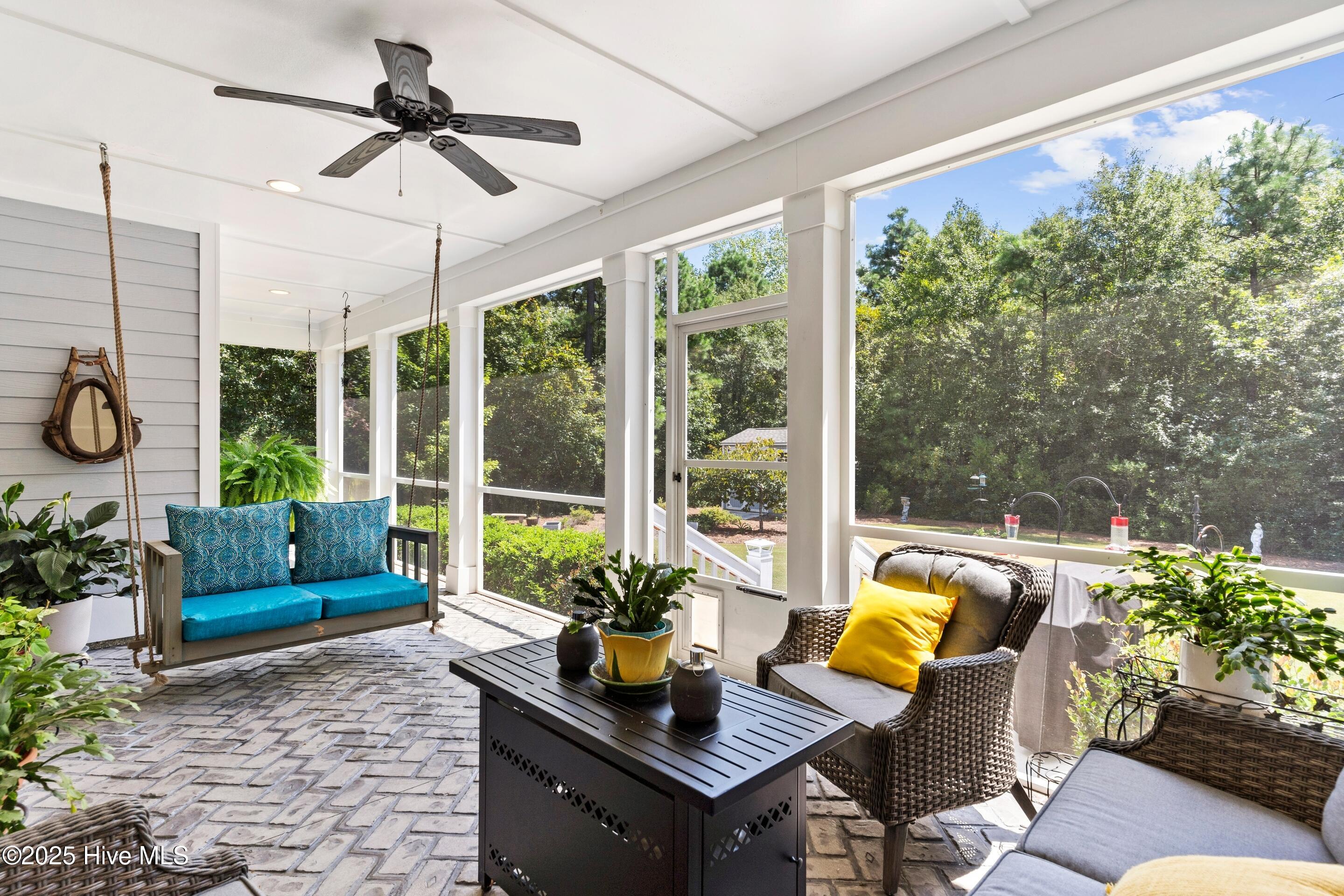 100527117 | Photo 34