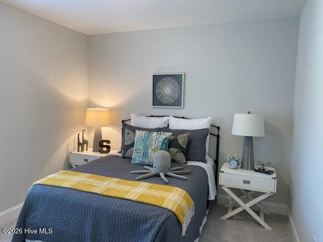 100567488 | Photo 21