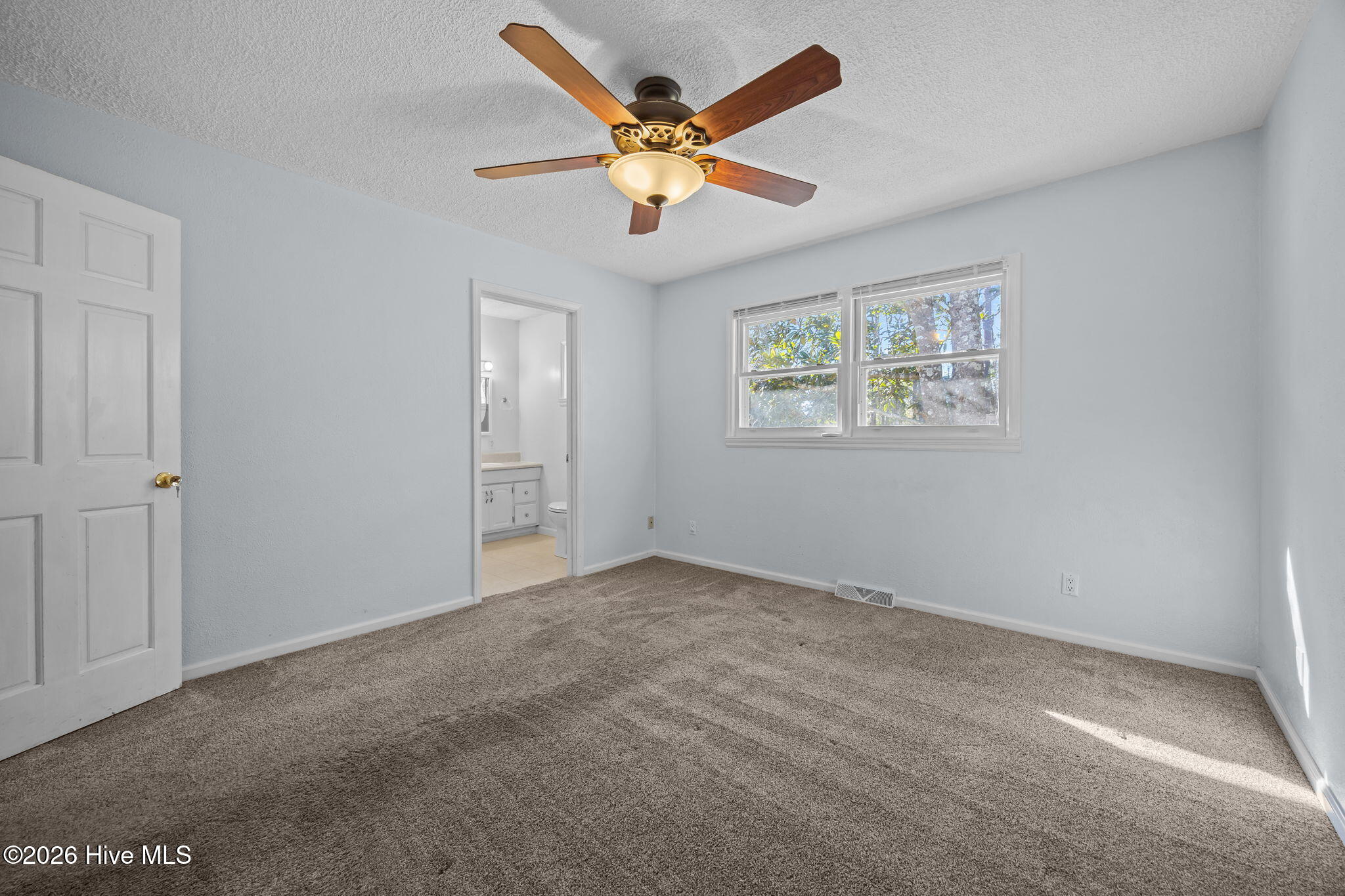 100548233 | Photo 12