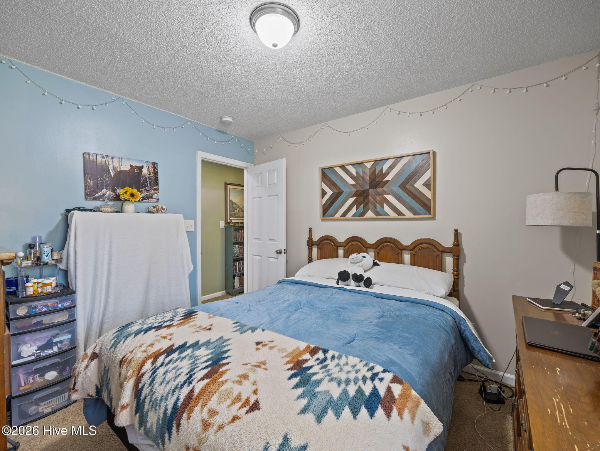 100566784 | Photo 17