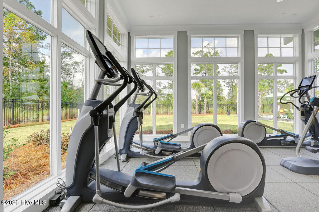 100565235 | Photo 126