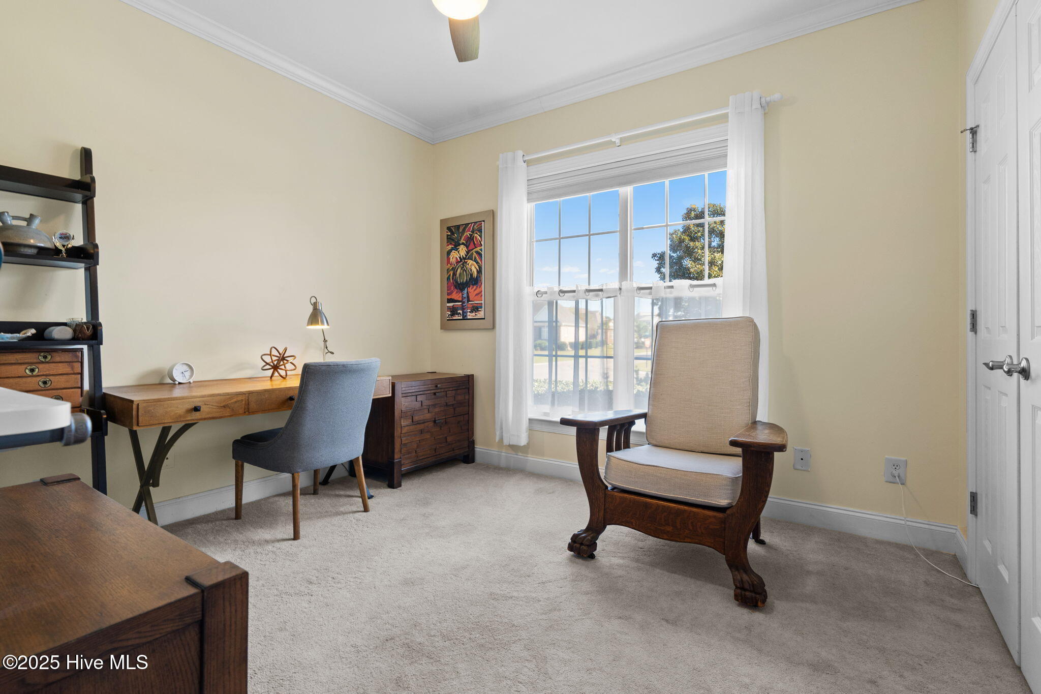 100538091 | Photo 53