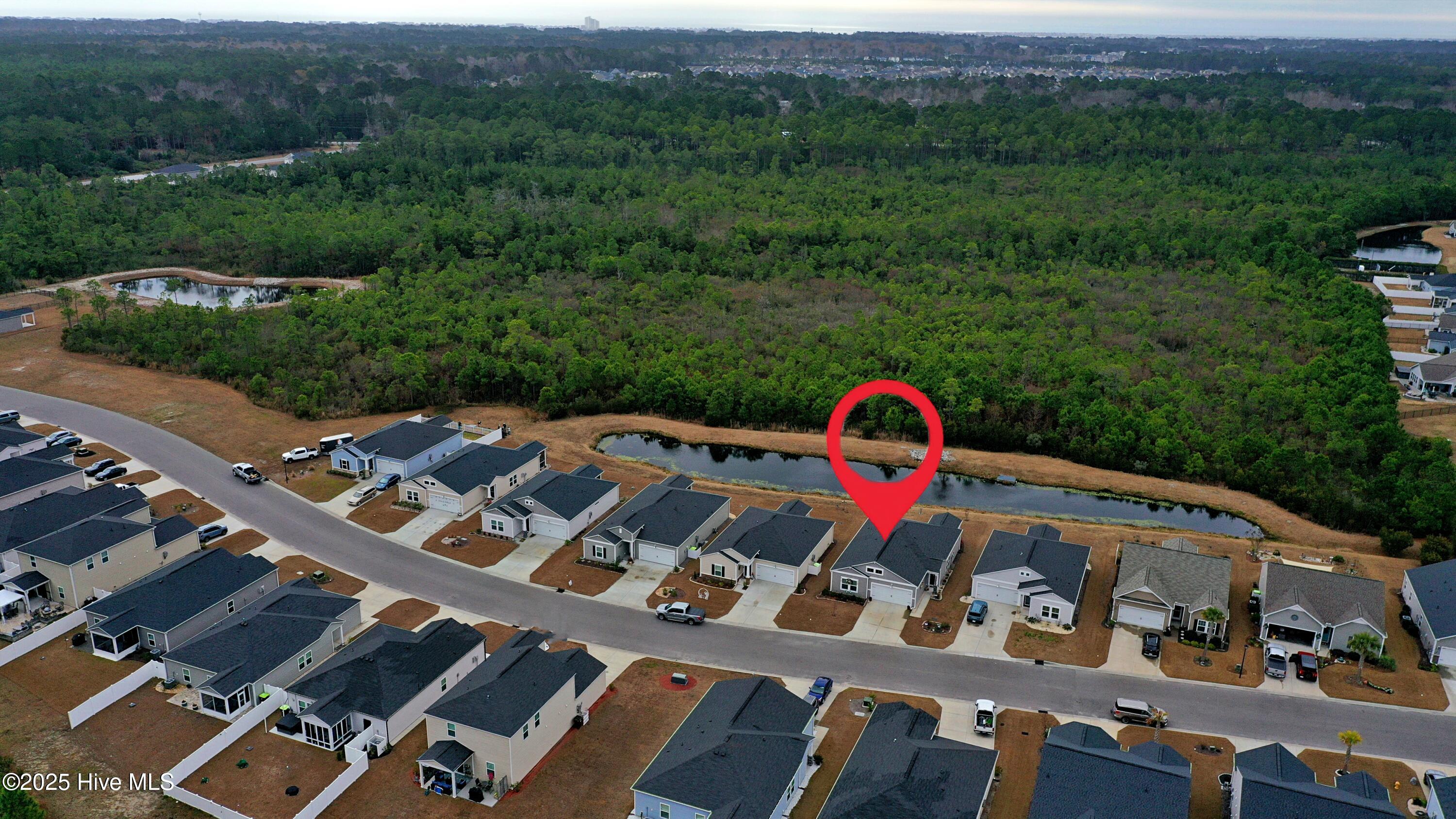 100547065 | Photo 35