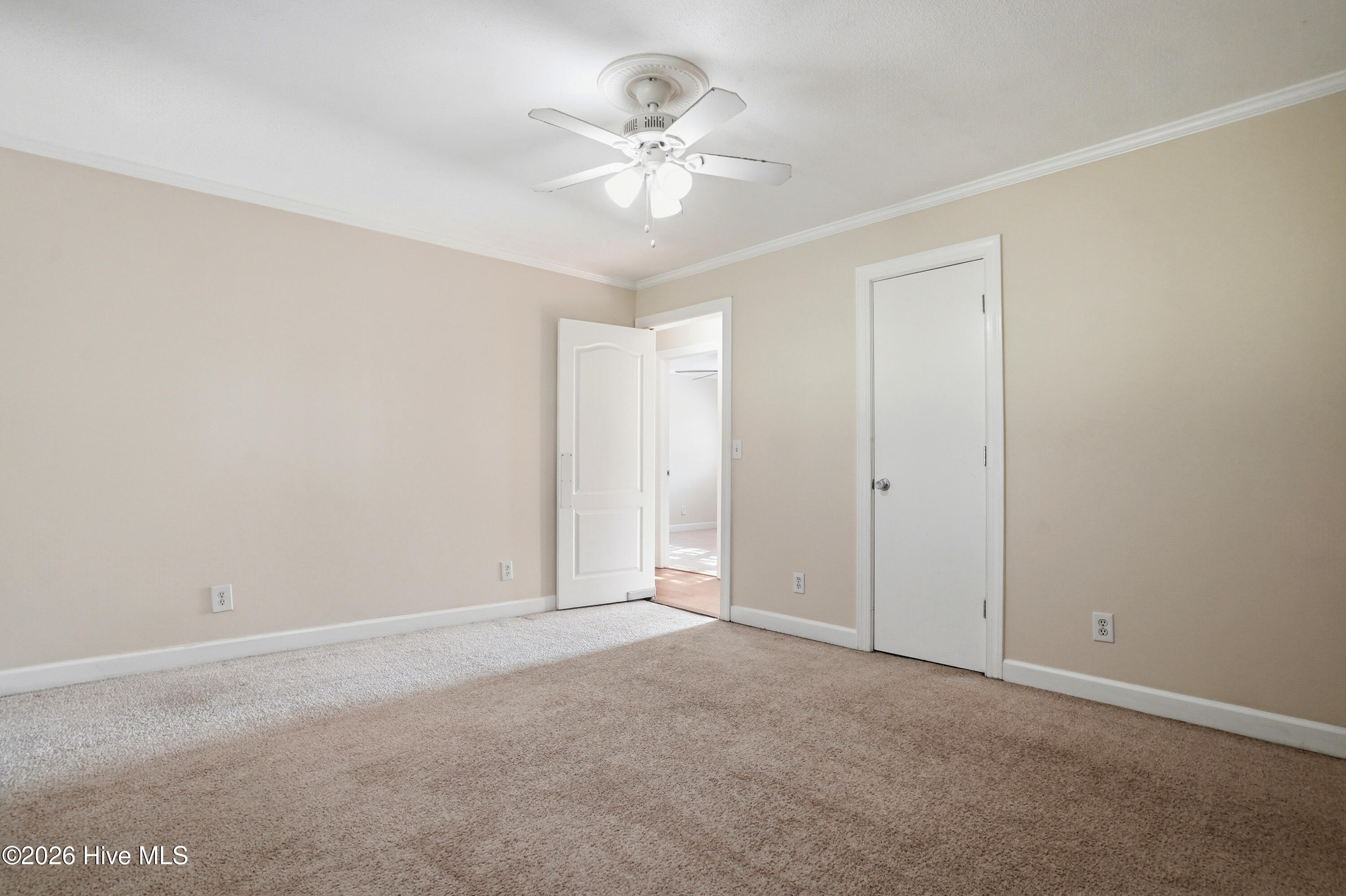 100567003 | Photo 25