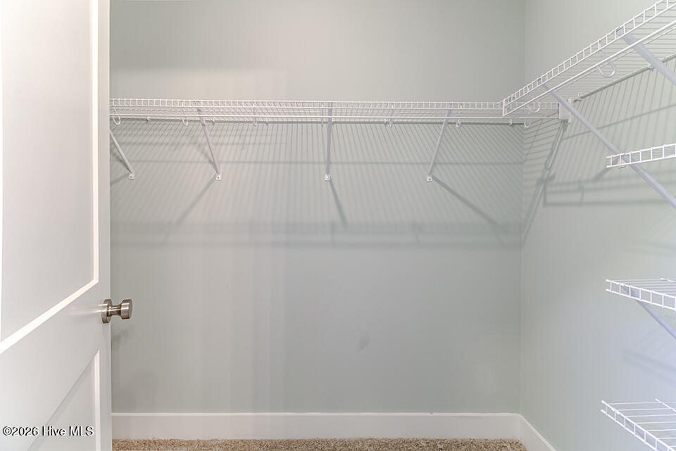 100557404 | Photo 13