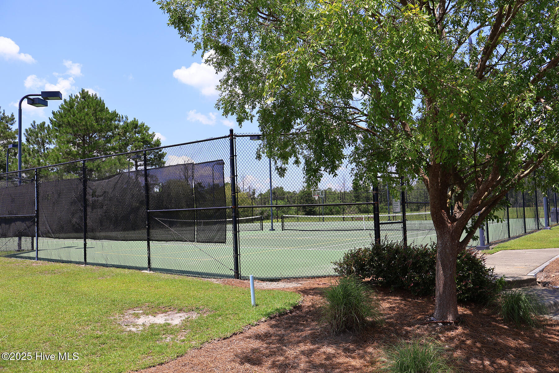 100549999 | Photo 20