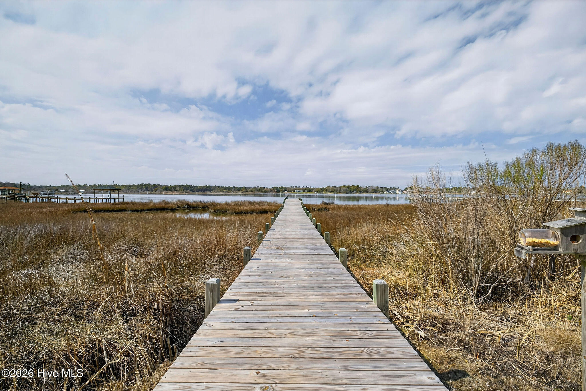 100558217 | Photo 47