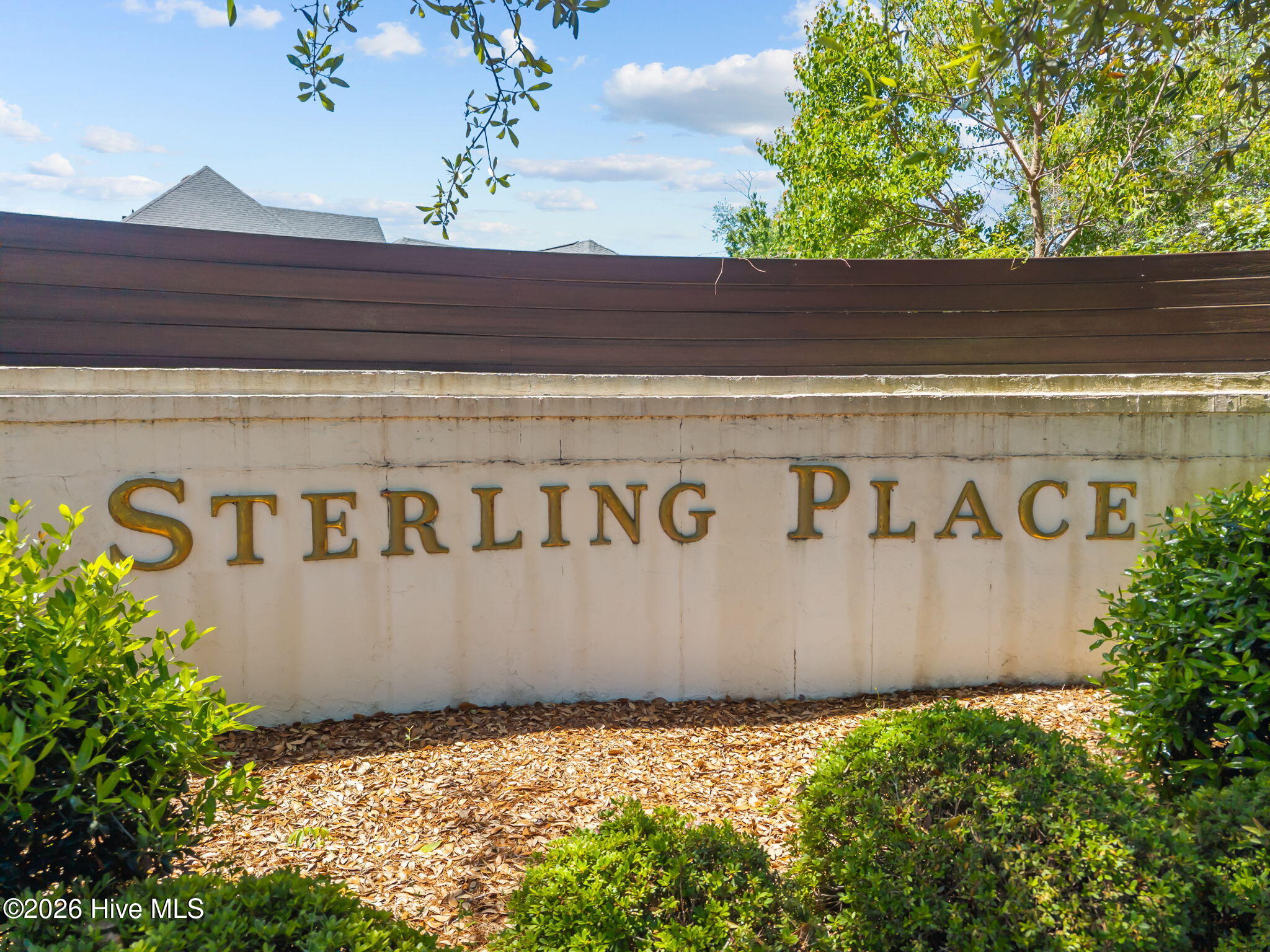 100570294 | Photo 61