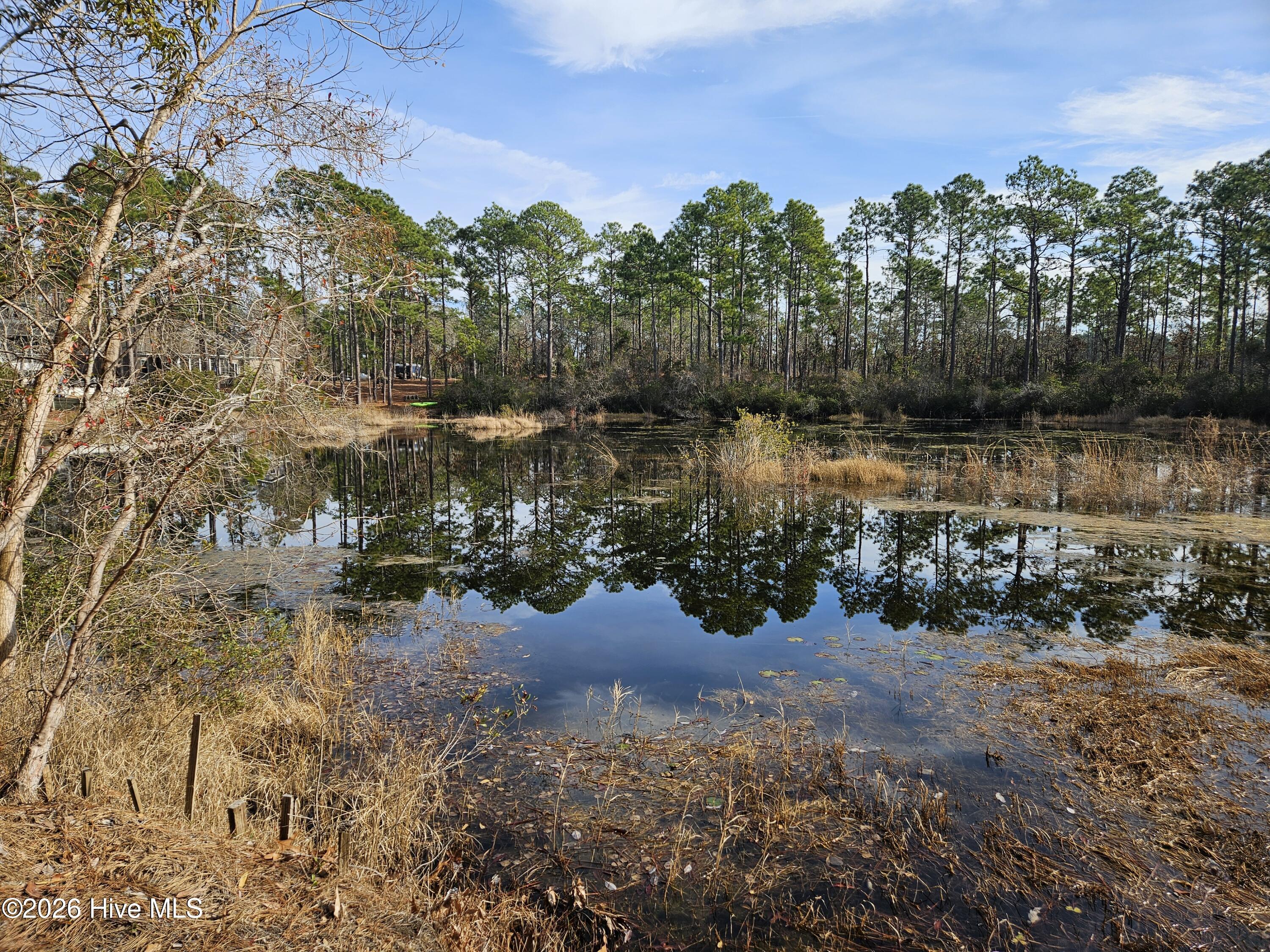 100548070 | Photo 18