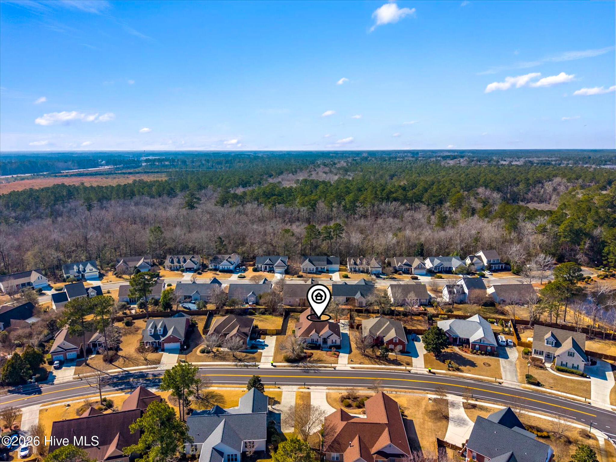 100554989 | Photo 46