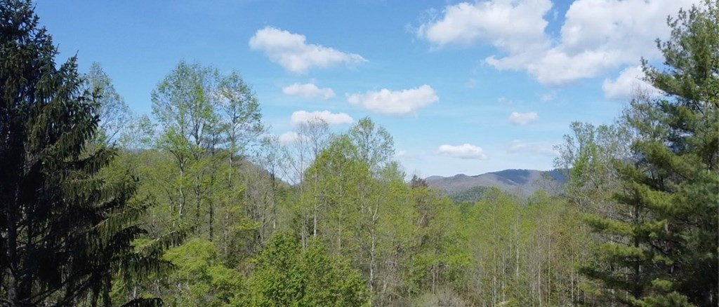 8158 Beaver Dam Road, Murphy, NC 28906 Listing Photo  18