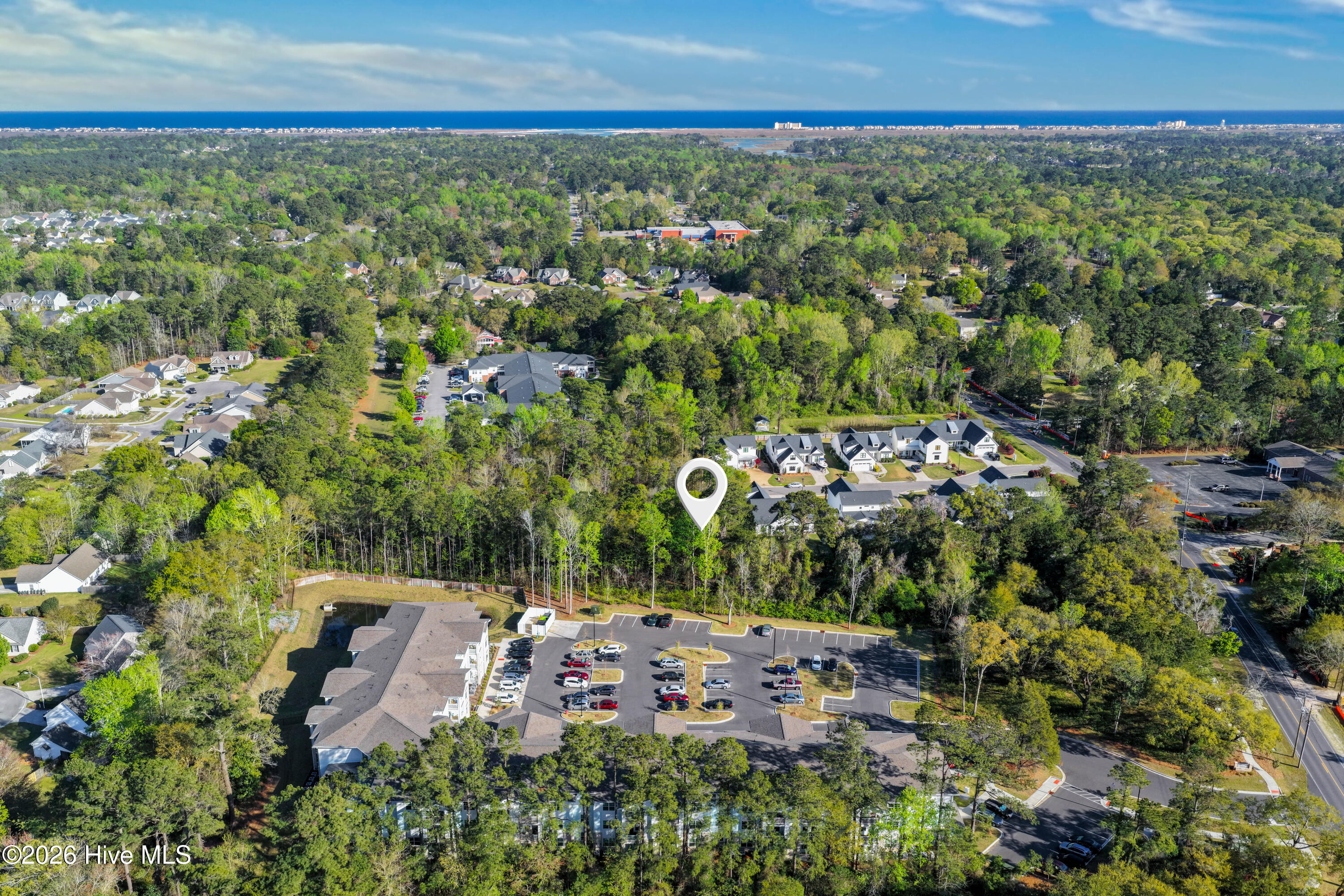 100565879 | Photo 12