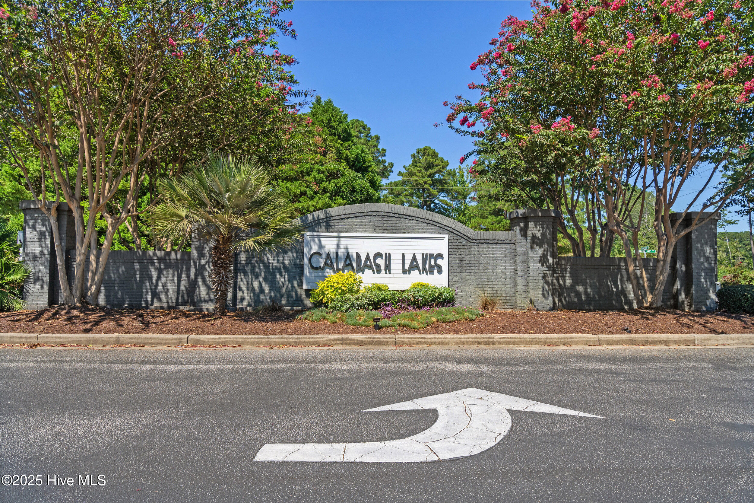 100529171 | Photo 41