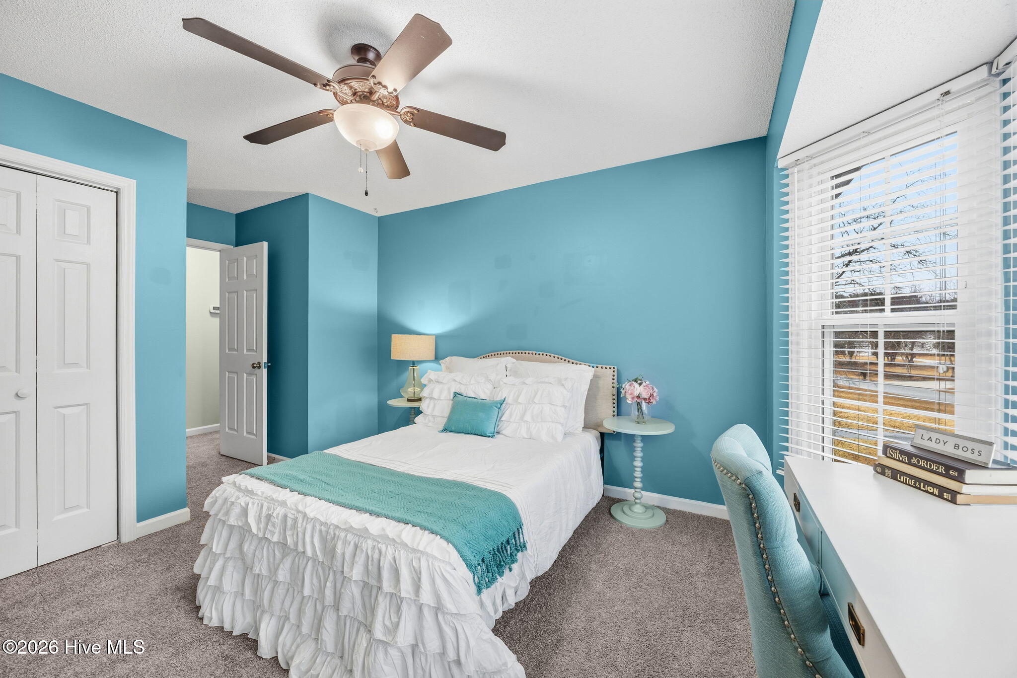 100534535 | Photo 30