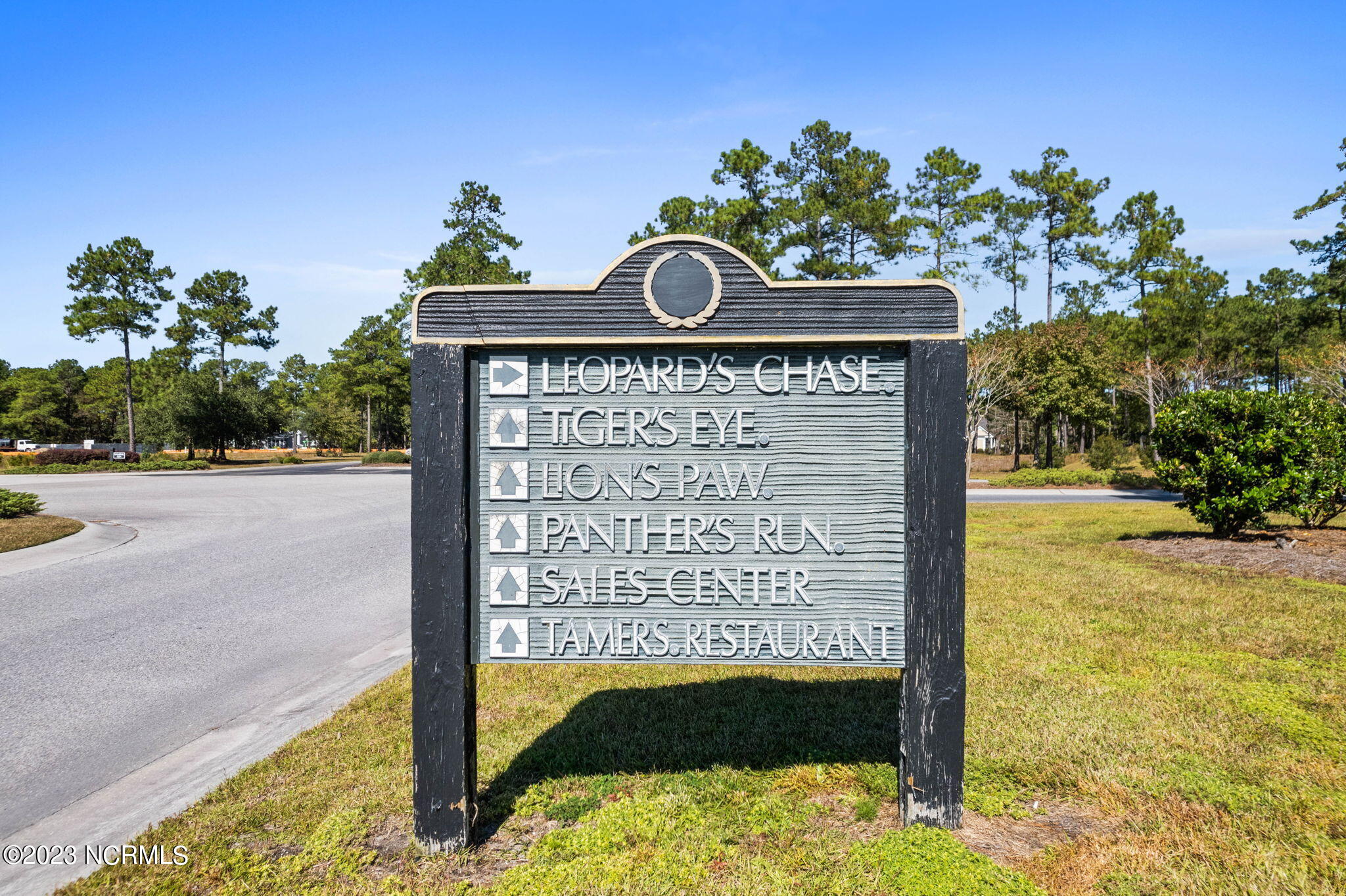 100411177 | Photo 23