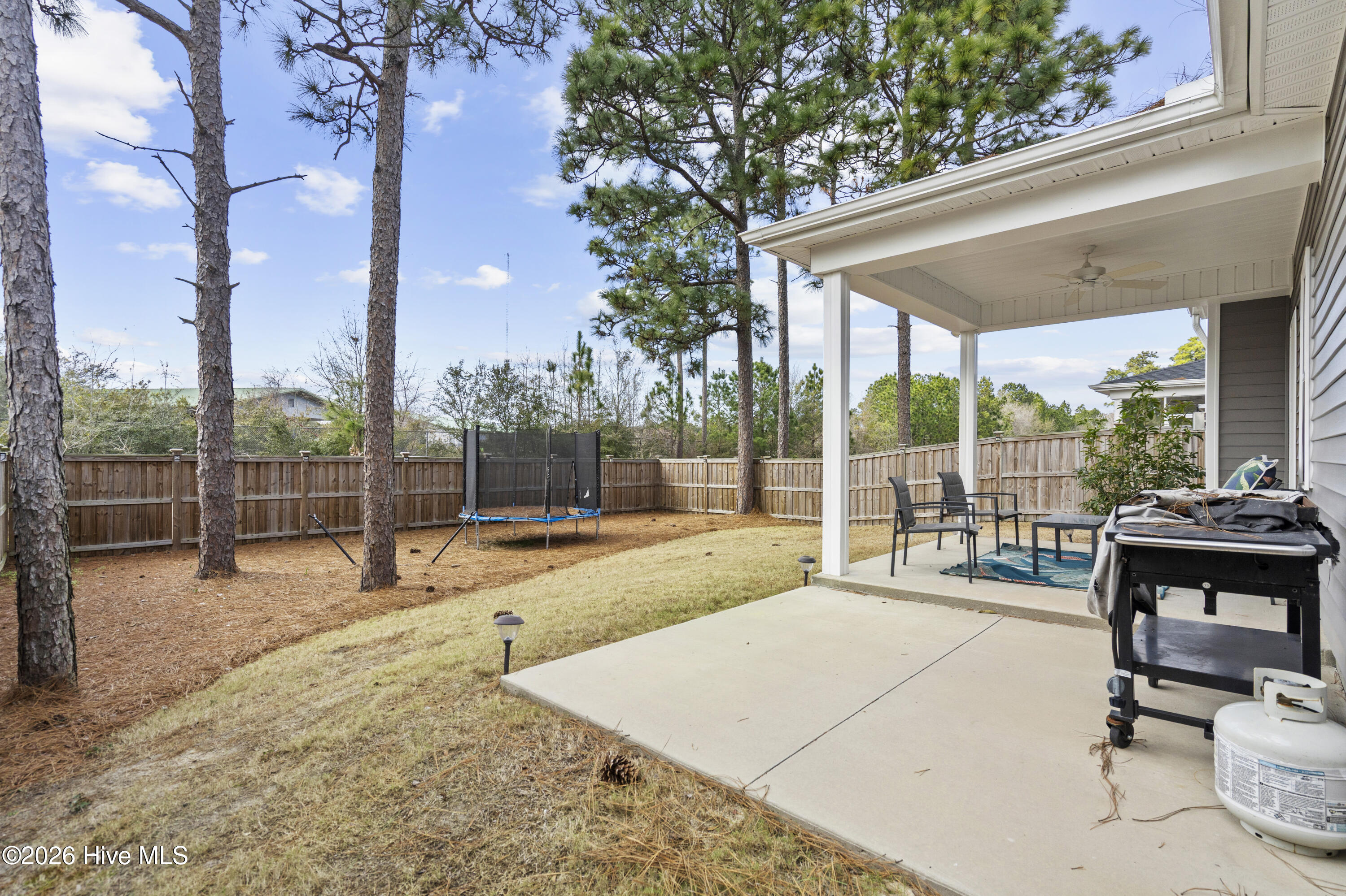 100554092 | Photo 36