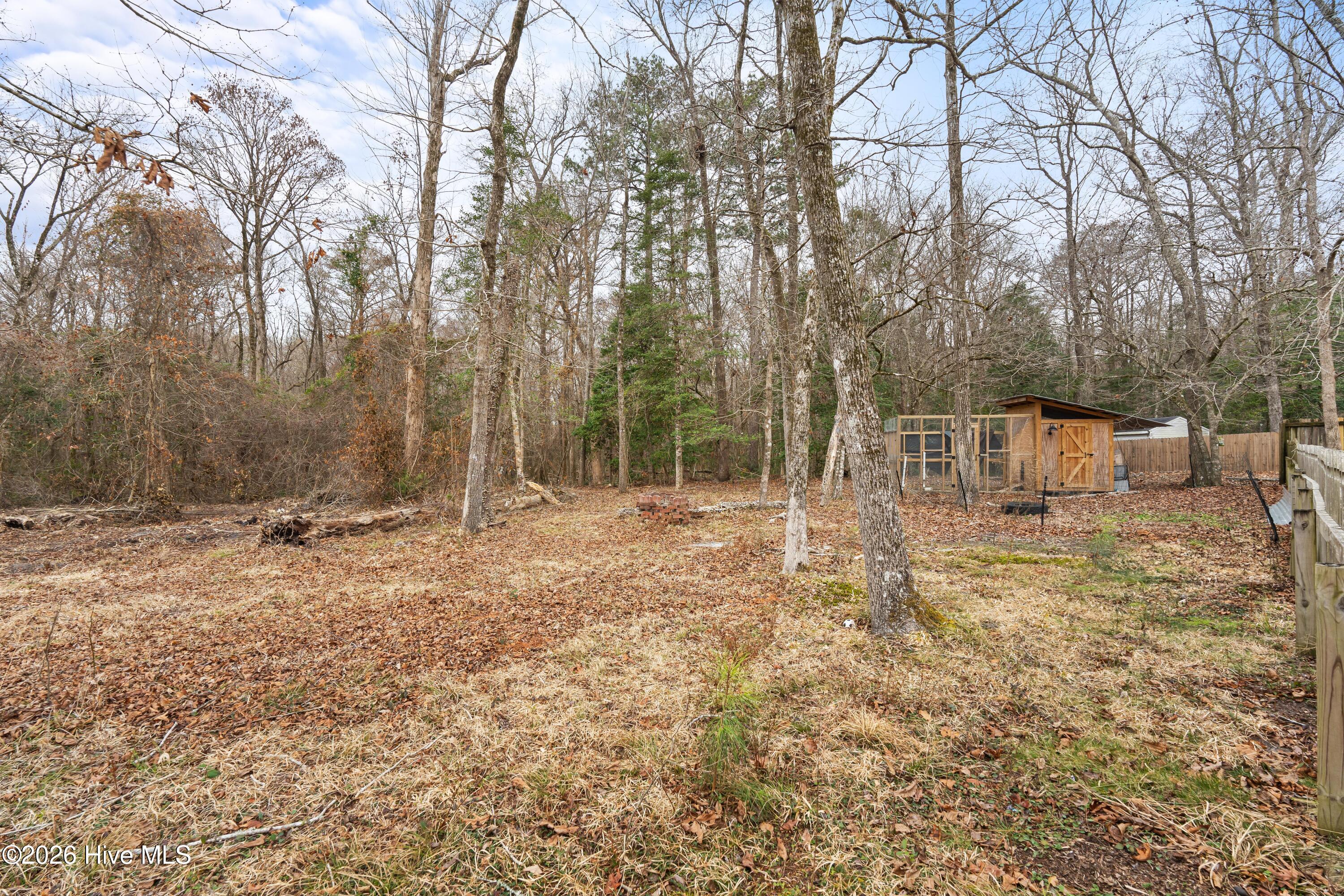 100556314 | Photo 70