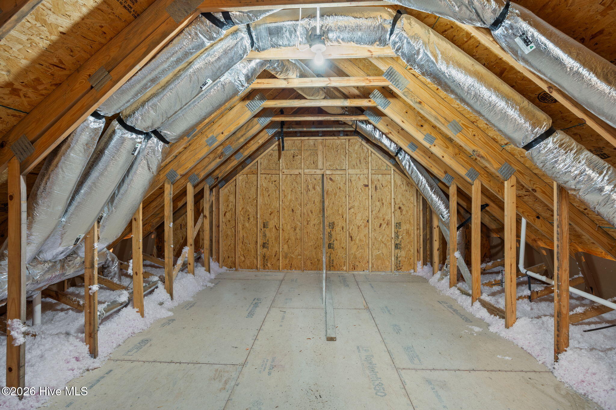 100568491 | Photo 31