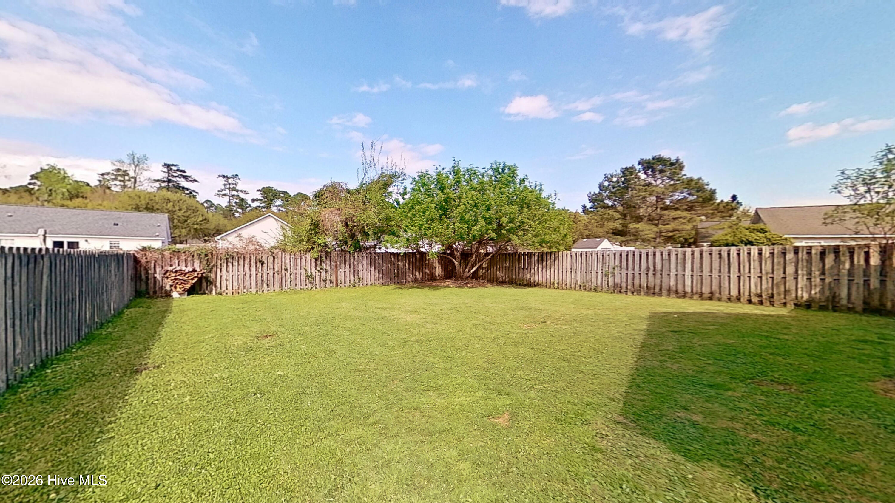 100563061 | Photo 18