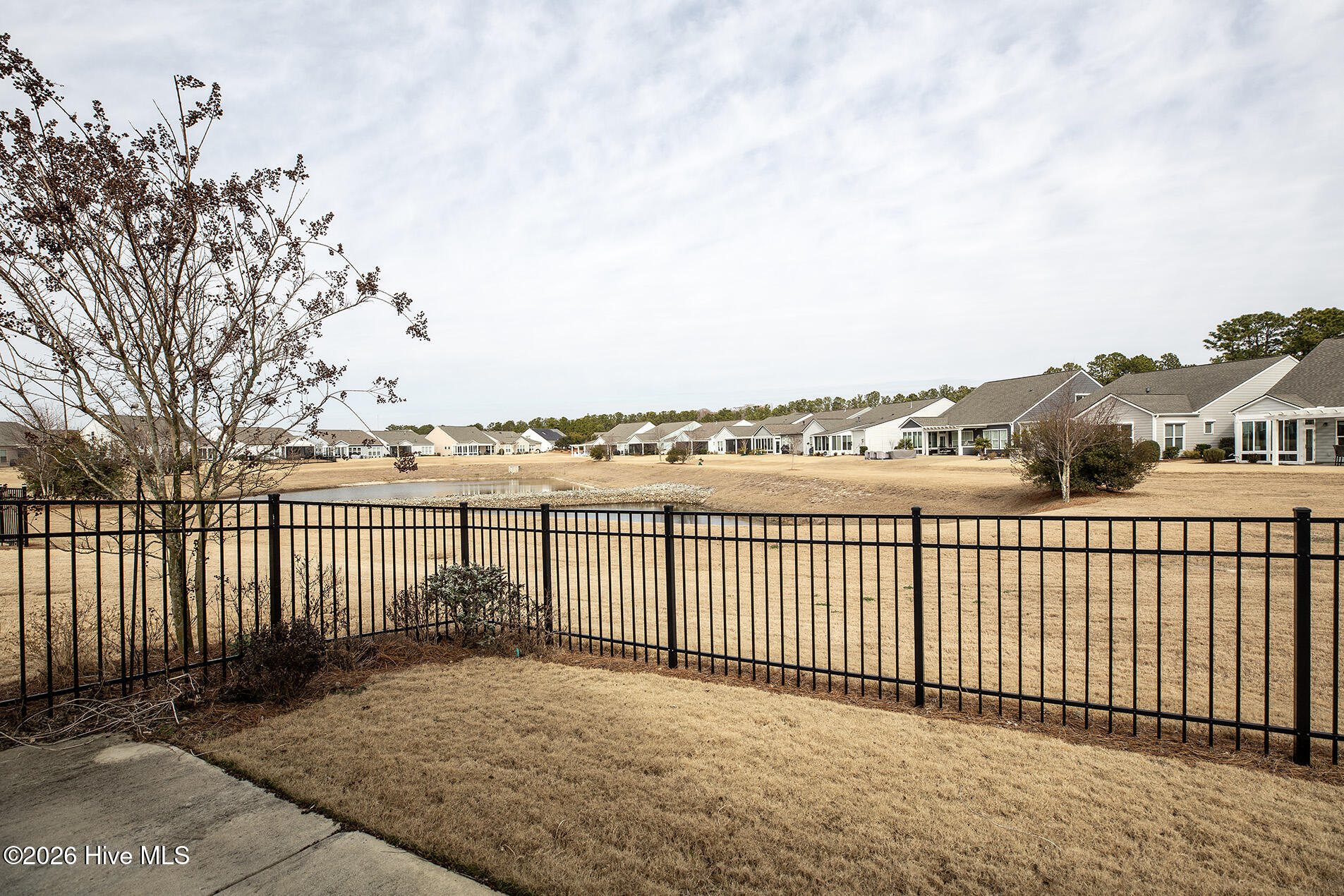 100554927 | Photo 42