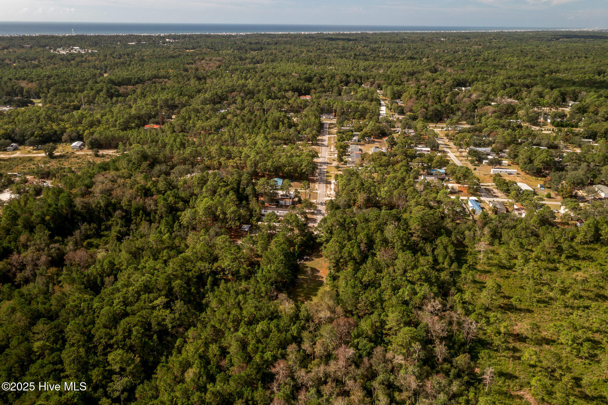 100534837 | Photo 17