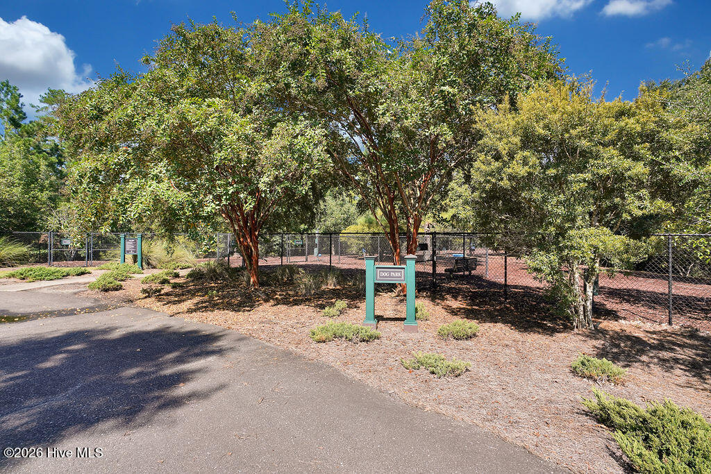 100565235 | Photo 158