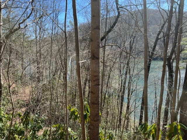 Exterior photo of lot 41 Indian Lake Drive, Topton, NC 28781. MLS: 98544198