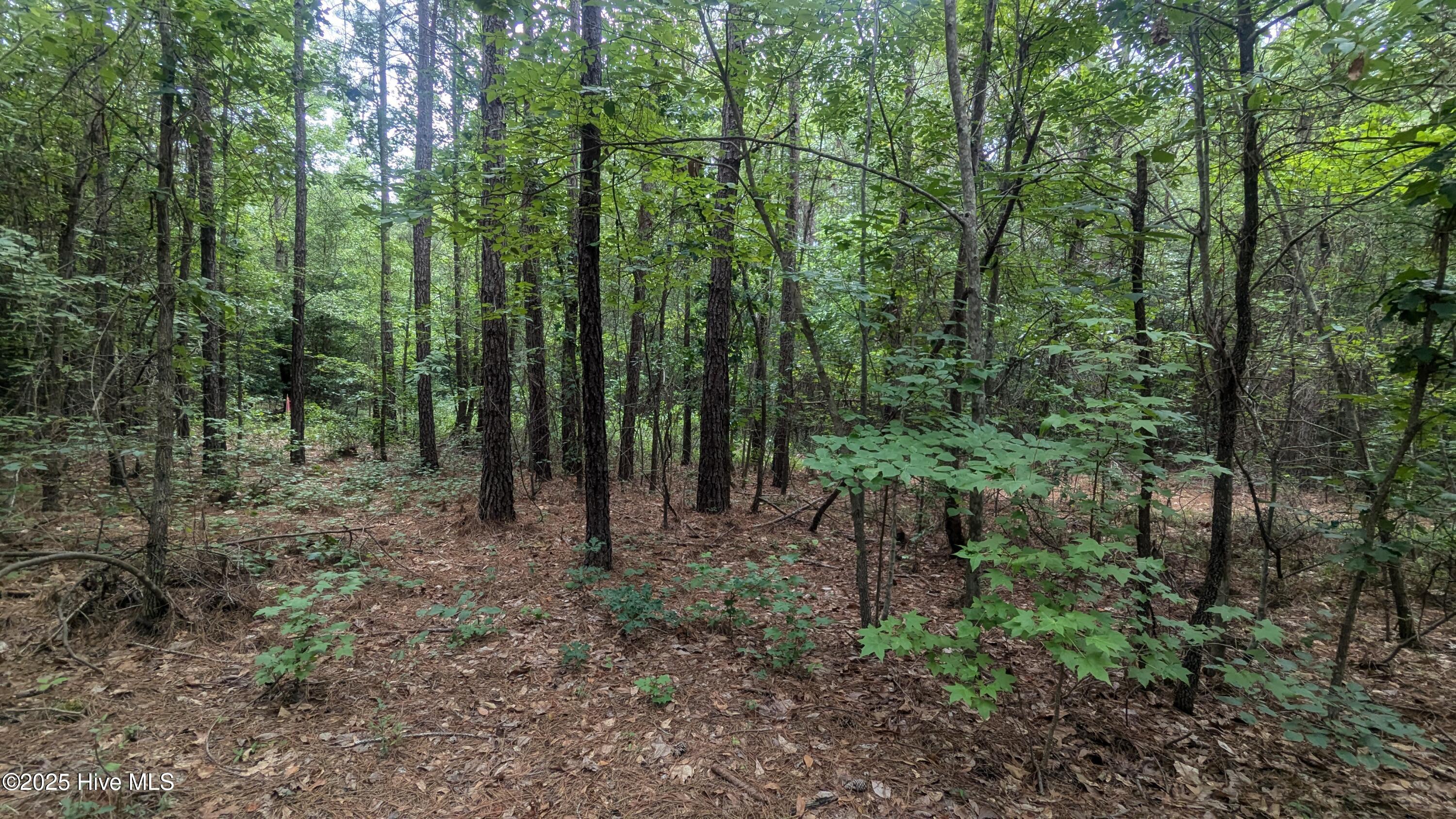 Tbd Line Road, Cameron, NC, 28326