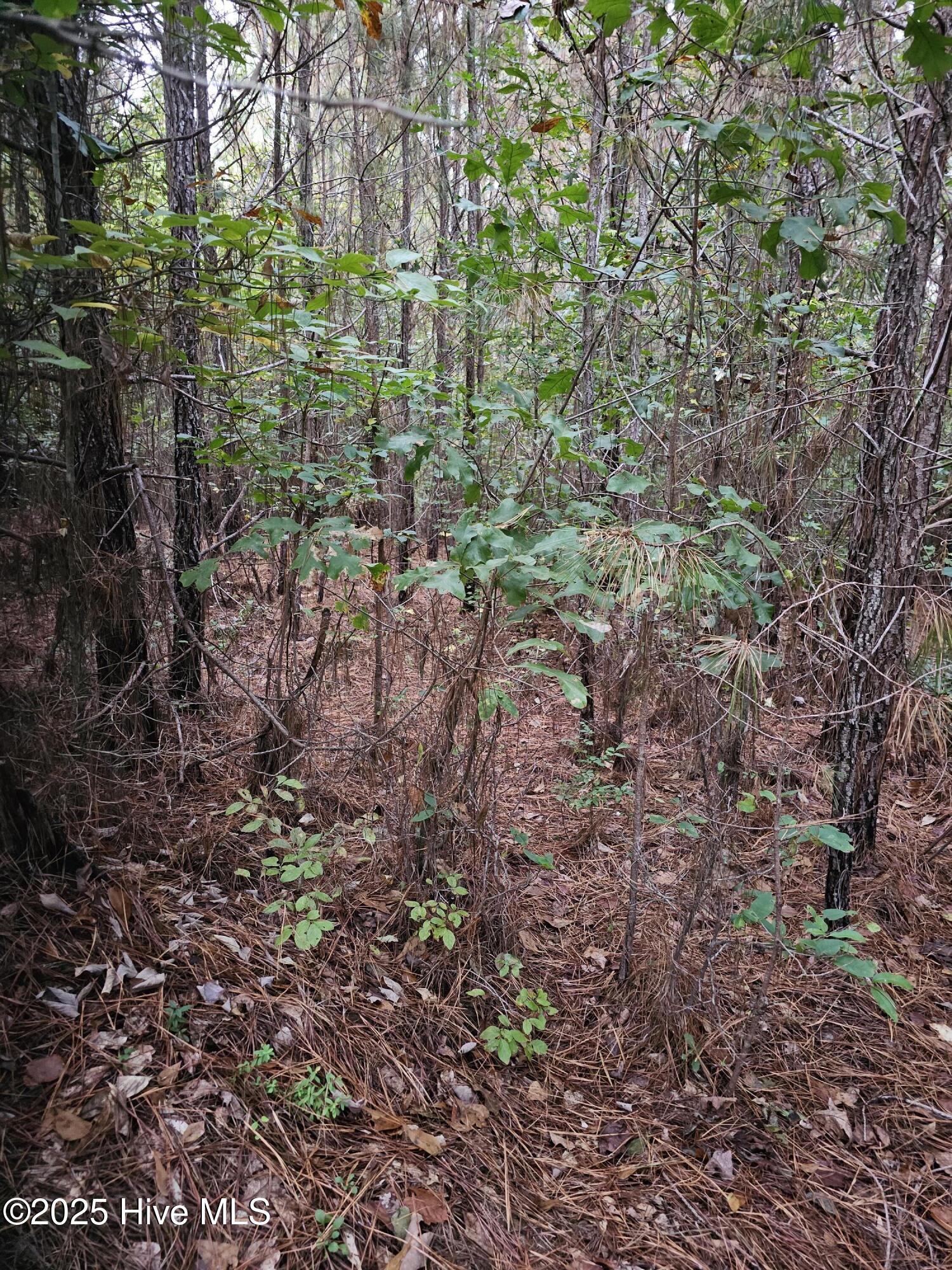 0 Carbonton Road, Sanford, NC, 27330