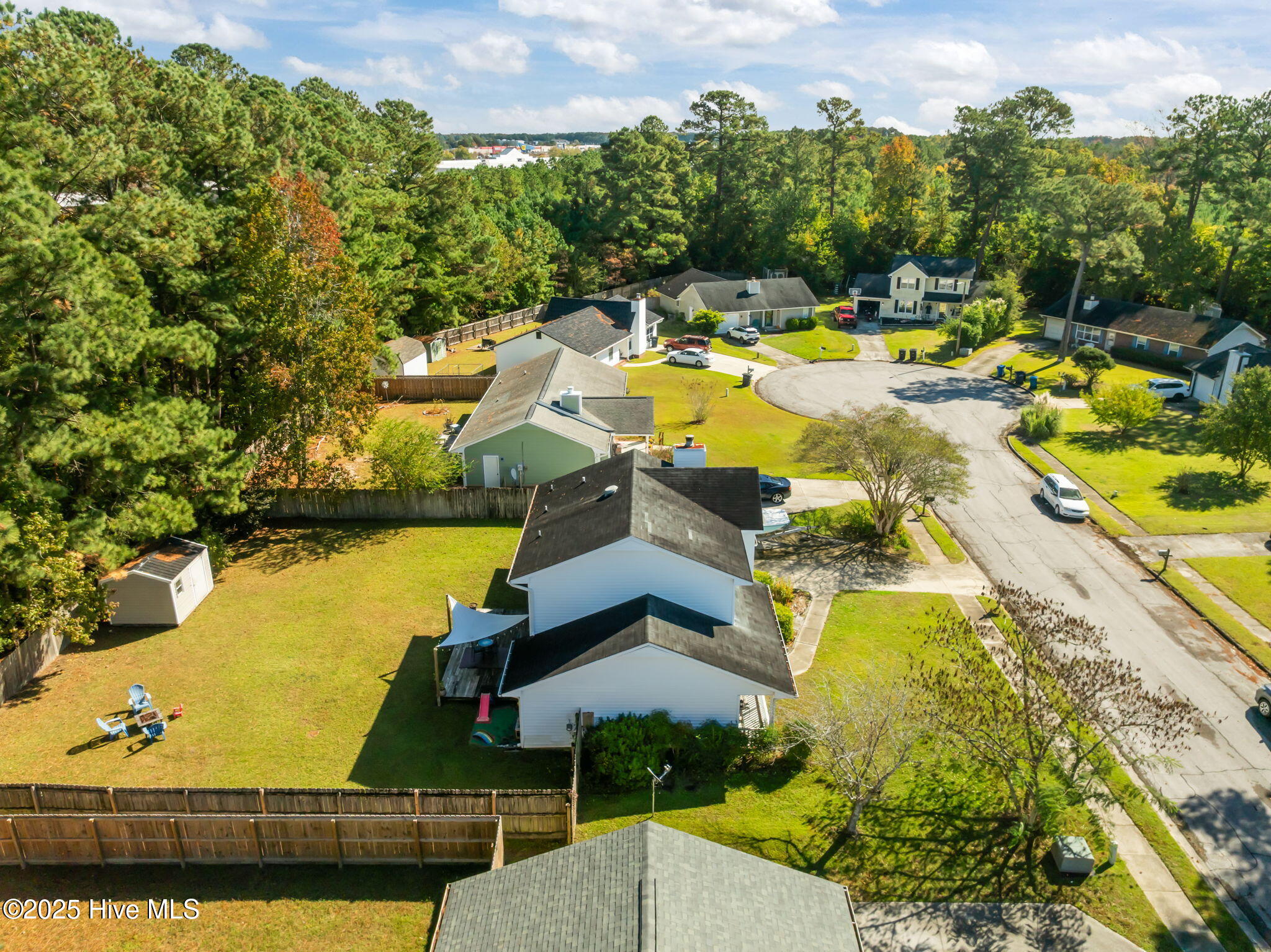 100539001 | Photo 44