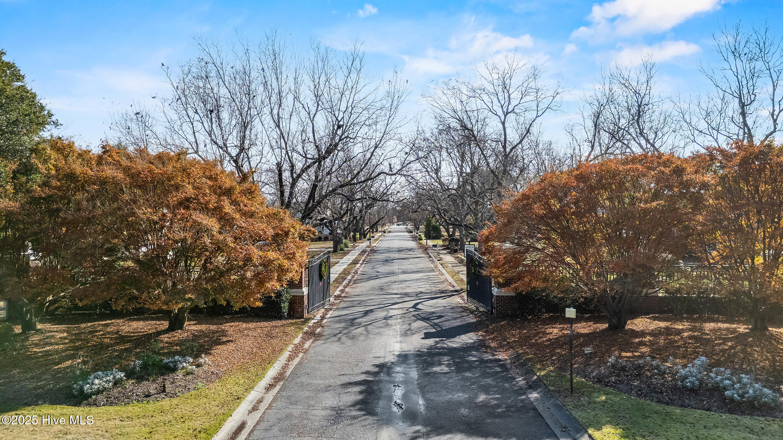 100570509 | Photo 92