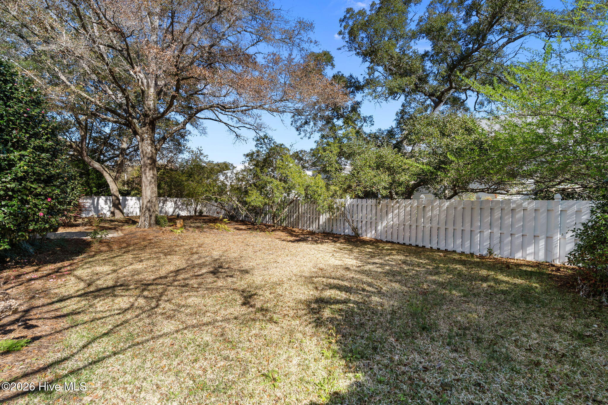 100561697 | Photo 34